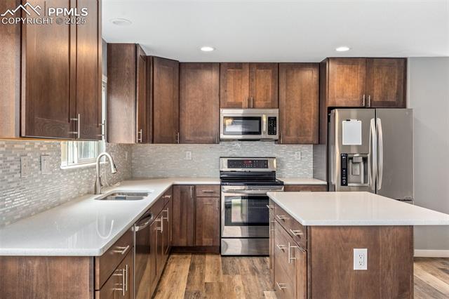 11746 Black Maple Lane