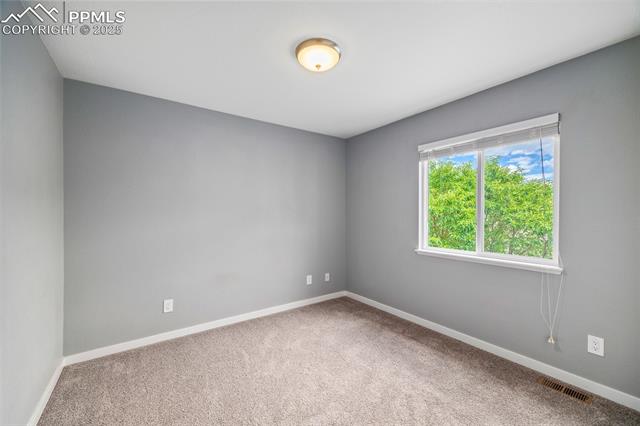 11746 Black Maple Lane