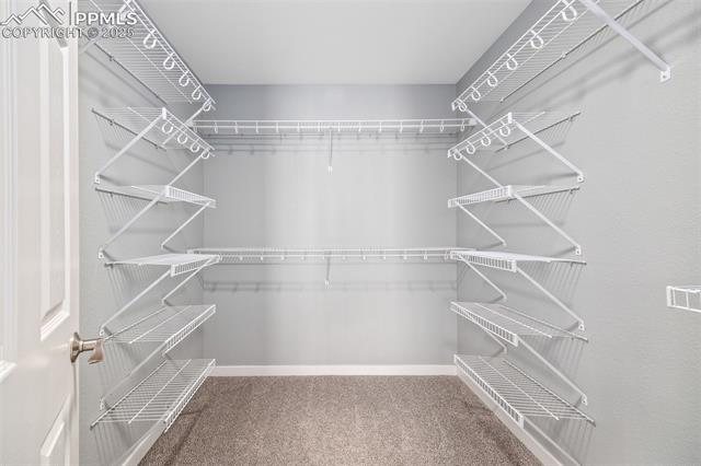 11746 Black Maple Lane