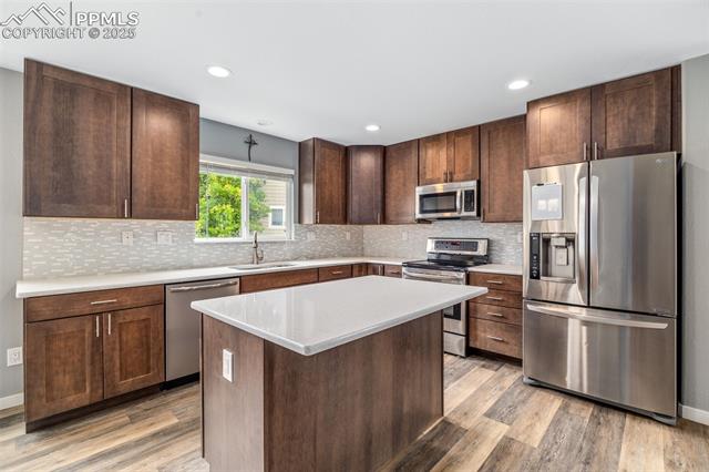 11746 Black Maple Lane