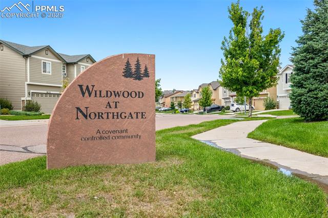 11746 Black Maple Lane