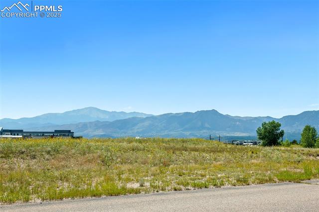 11746 Black Maple Lane