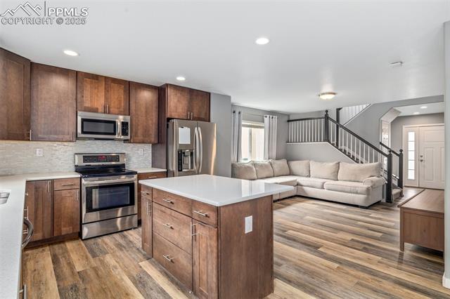 11746 Black Maple Lane