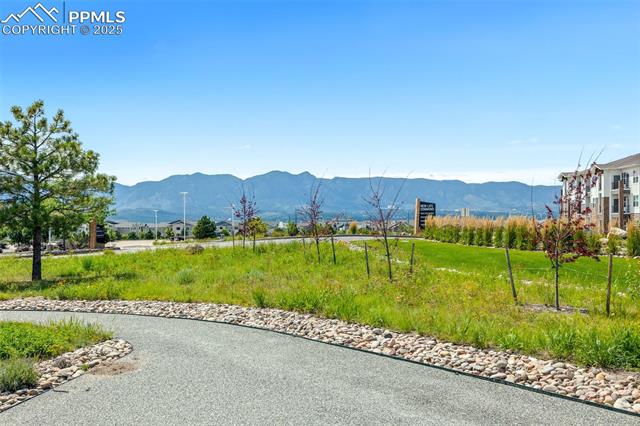 11746 Black Maple Lane