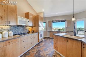 10575 Snowbrush Drive