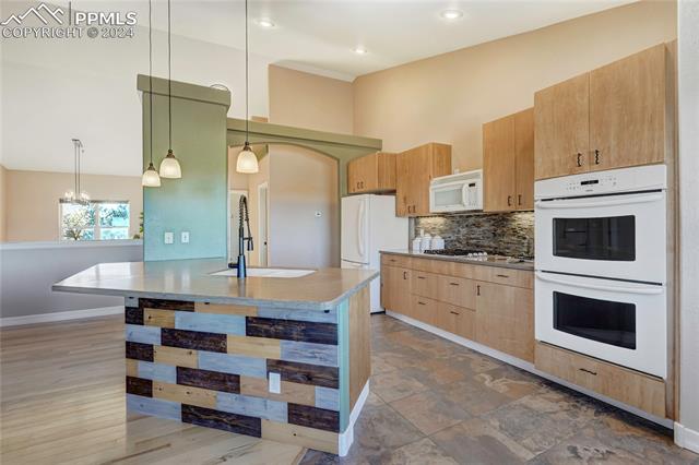 10575 Snowbrush Drive