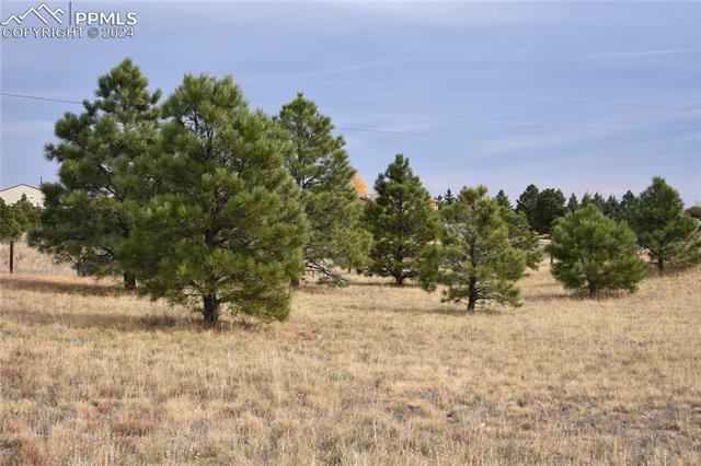 10575 Snowbrush Drive