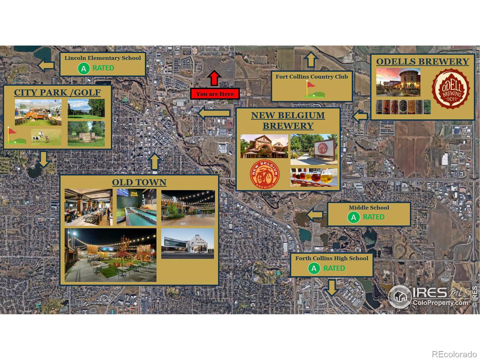 1009 Birdwhistle Lane Unit: 5