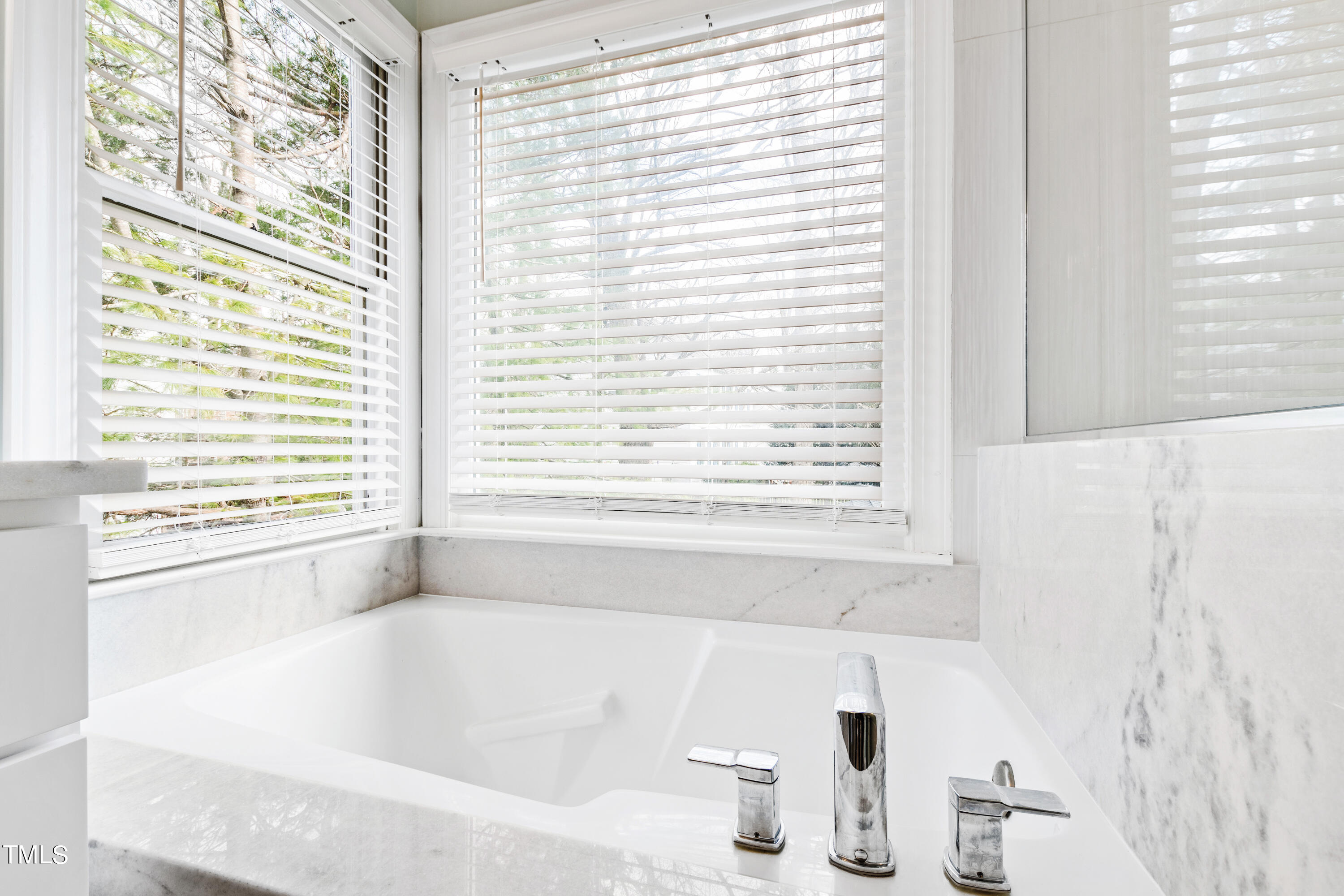 1217 Wellstone Circle