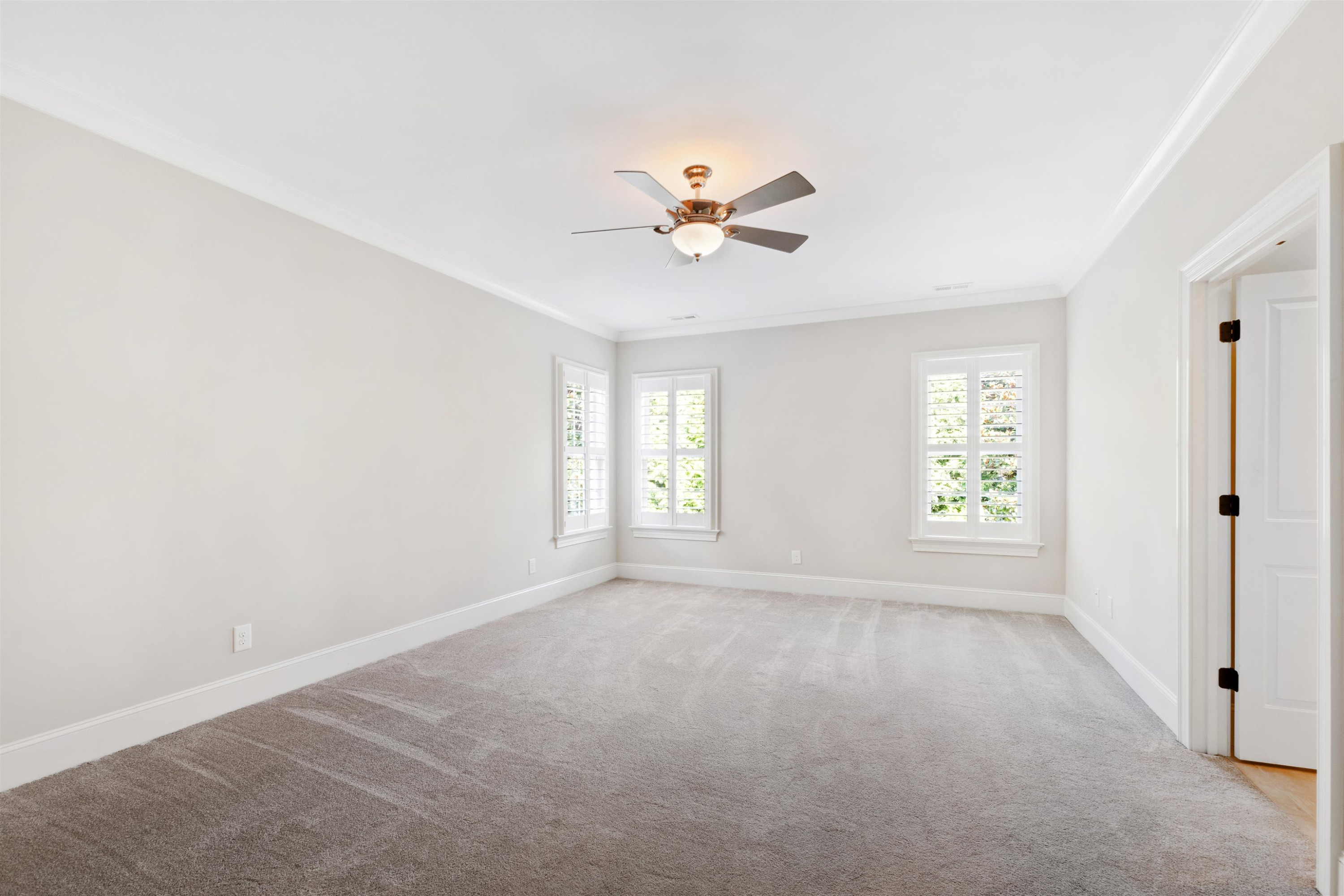 209 Michelangelo Way