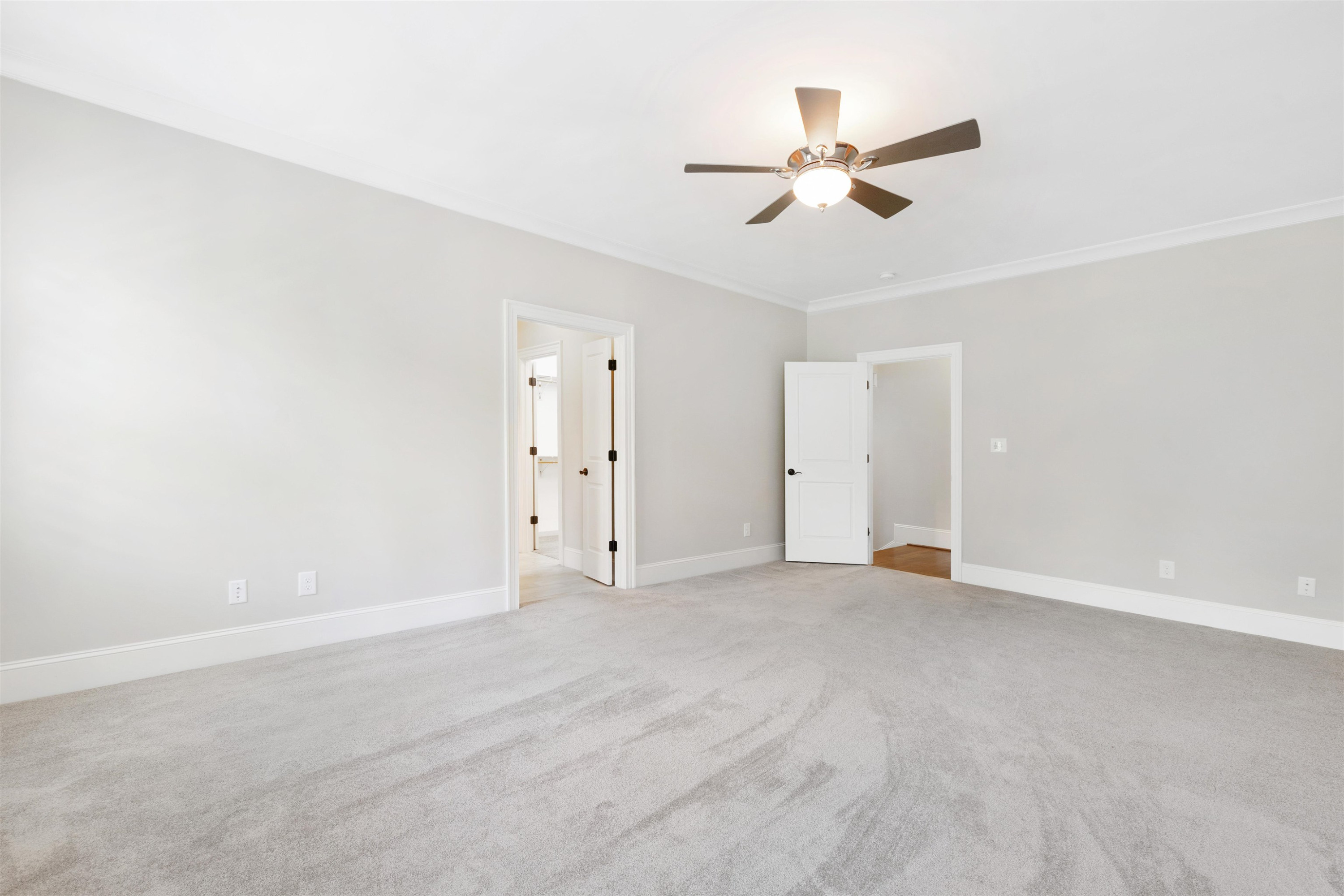 209 Michelangelo Way