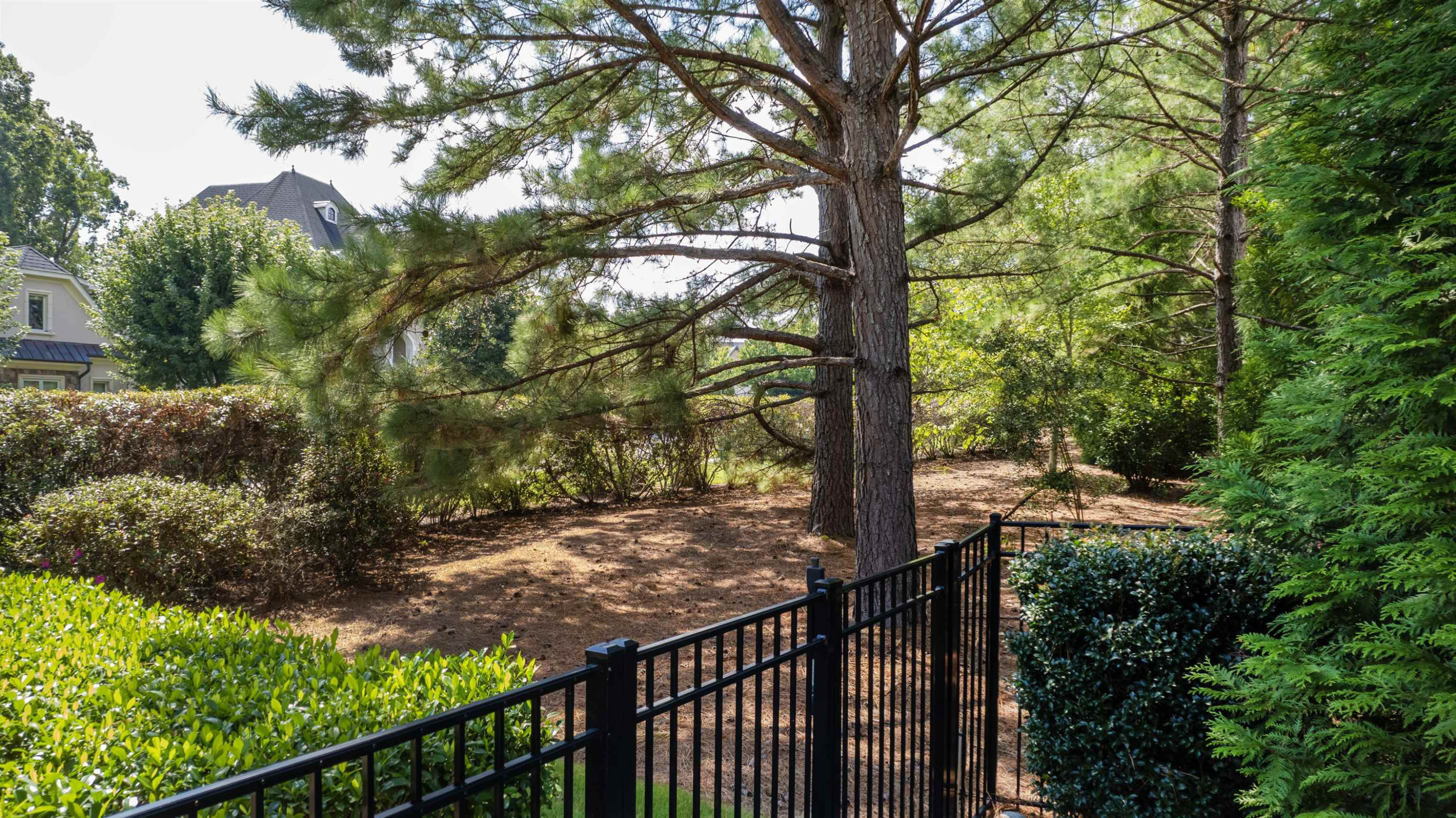 209 Michelangelo Way