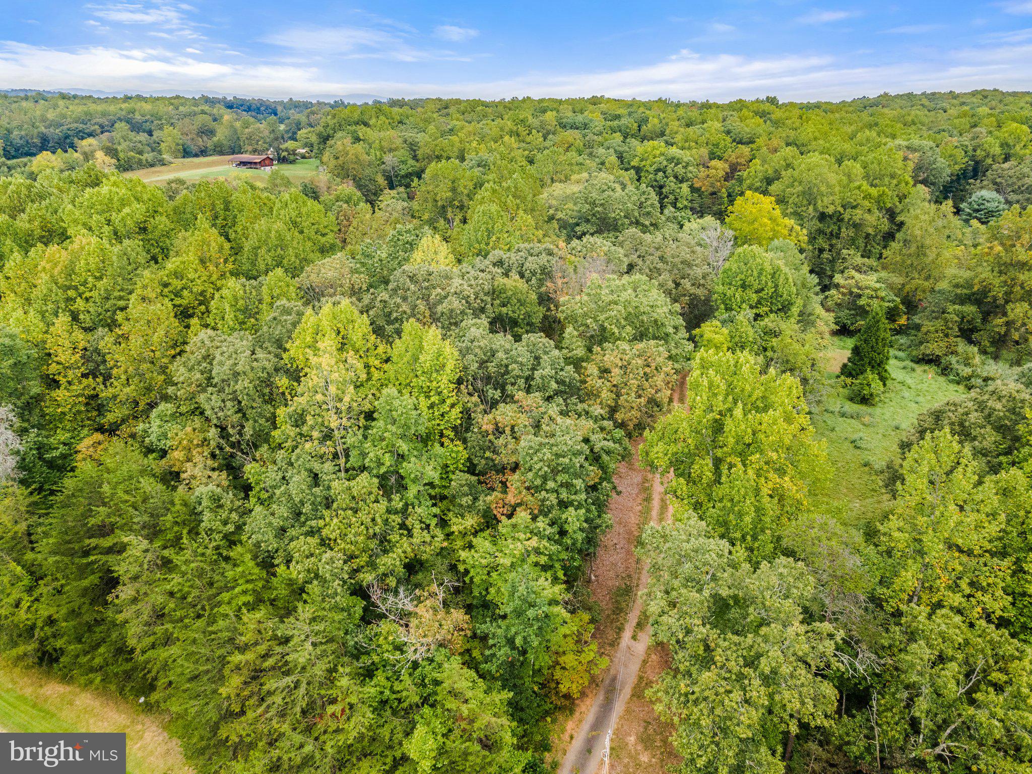 17386 POPLAR OAK DRIVE