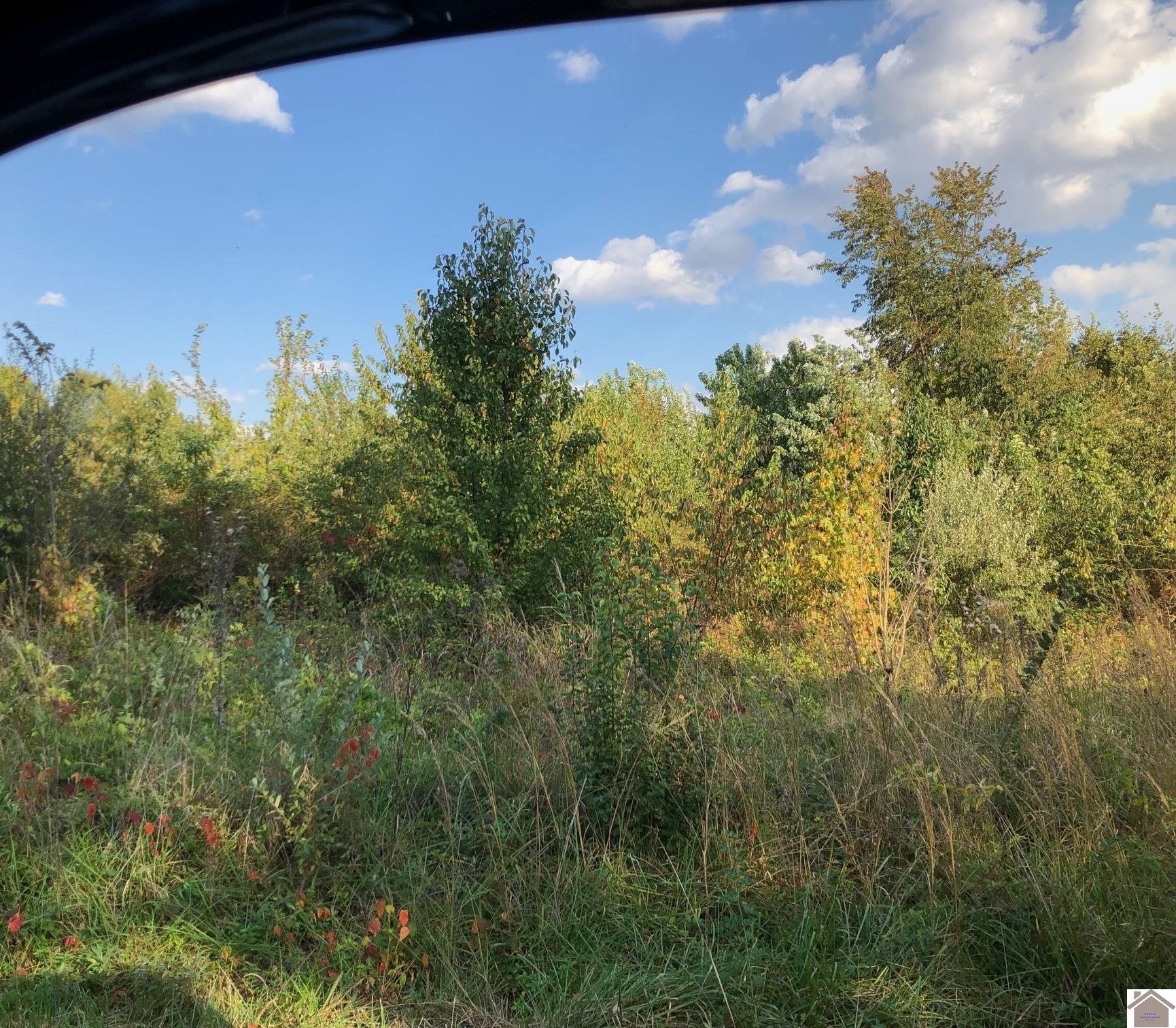 Lot 11 Chris Drive
