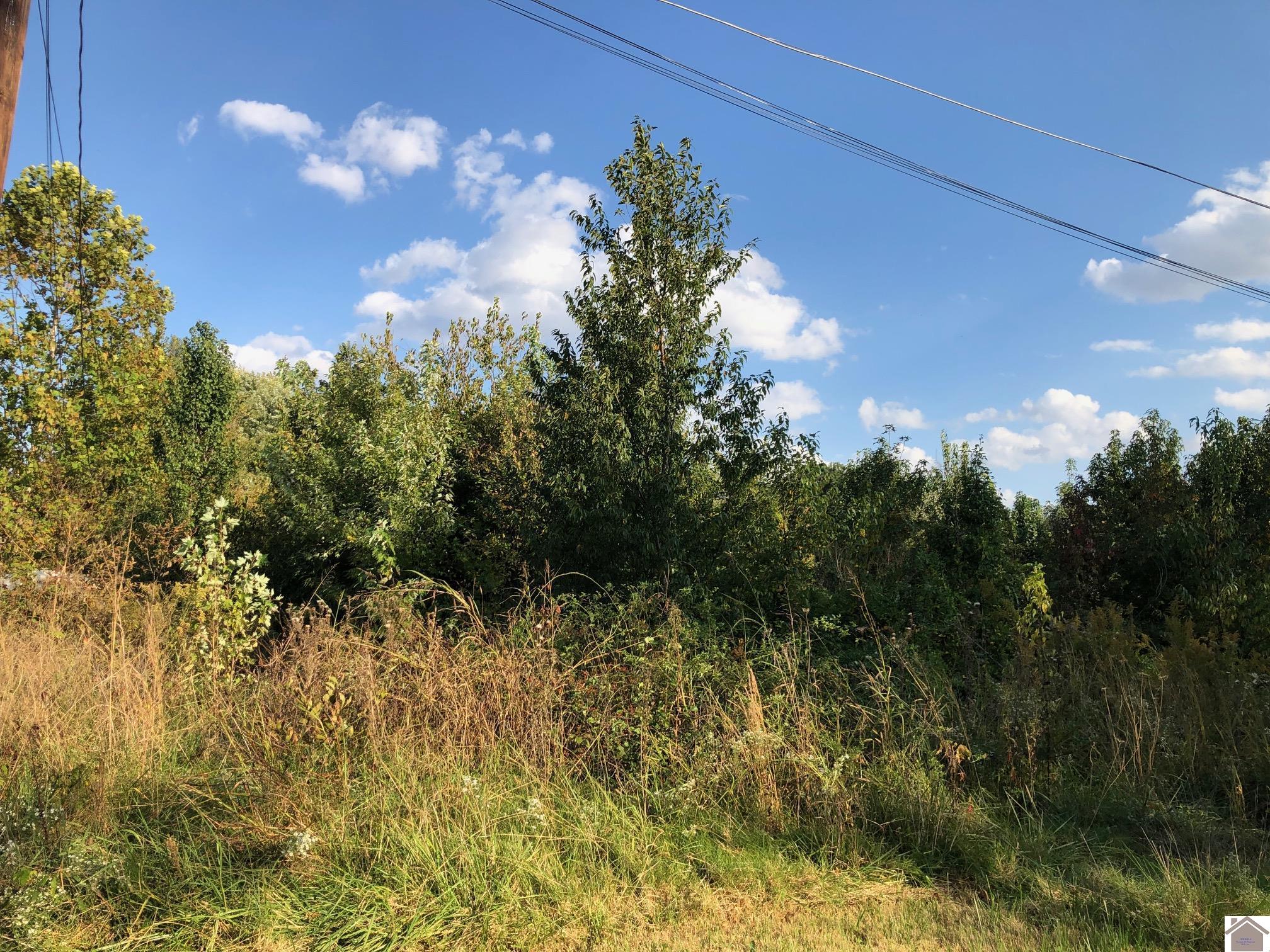 Lot 41 Chris Drive