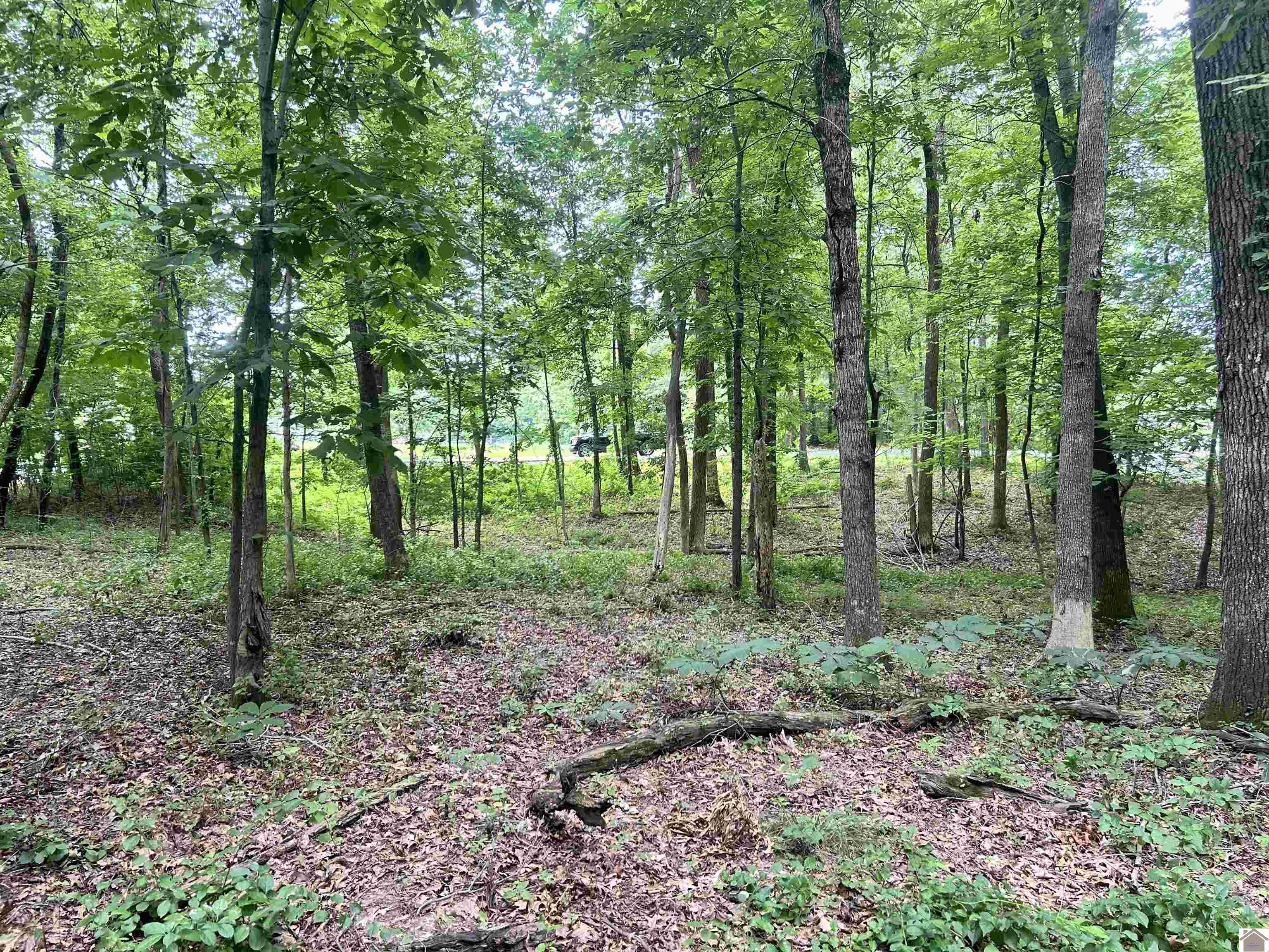 650 S Gum Springs Rd