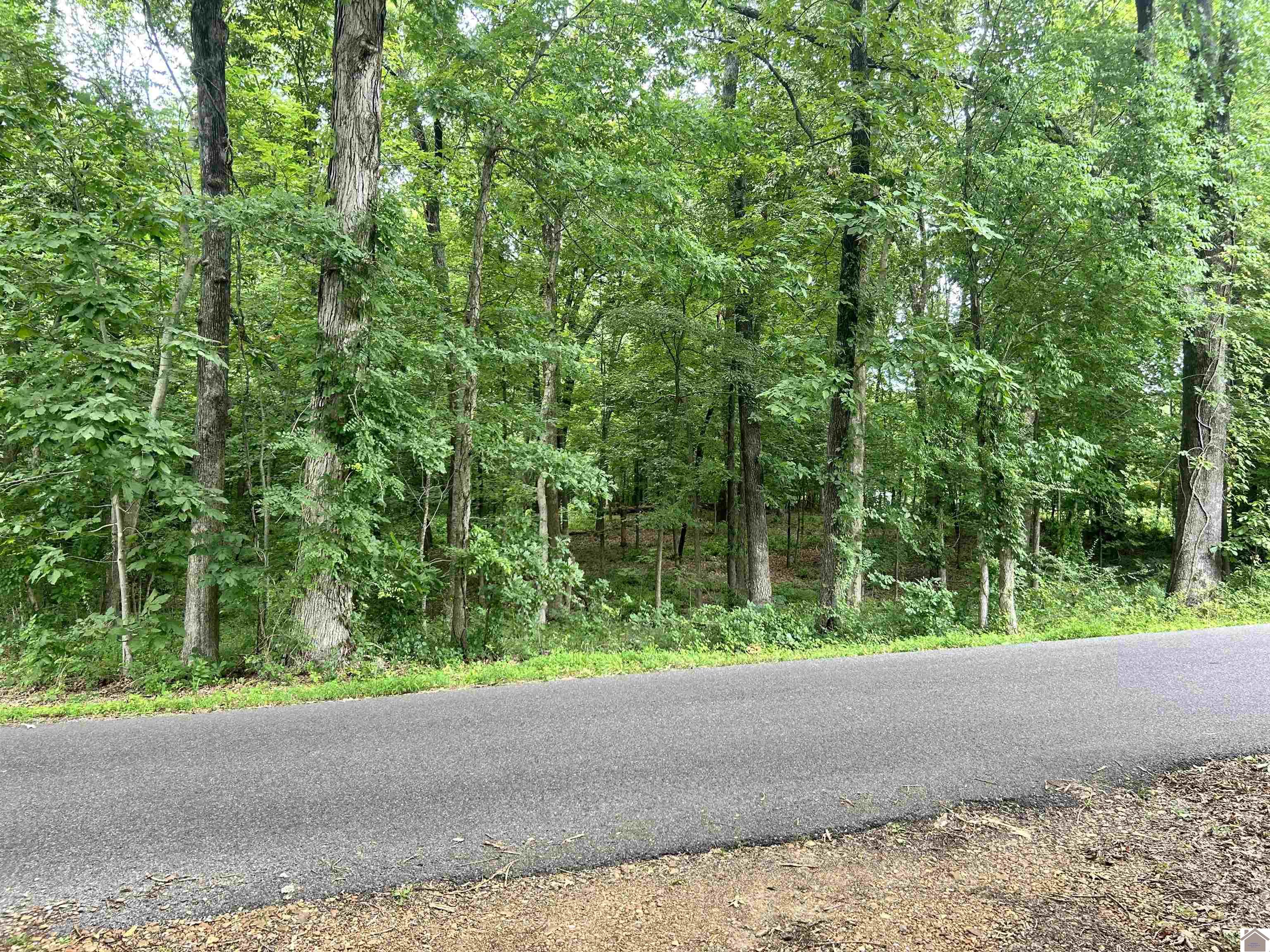 650 S Gum Springs Rd