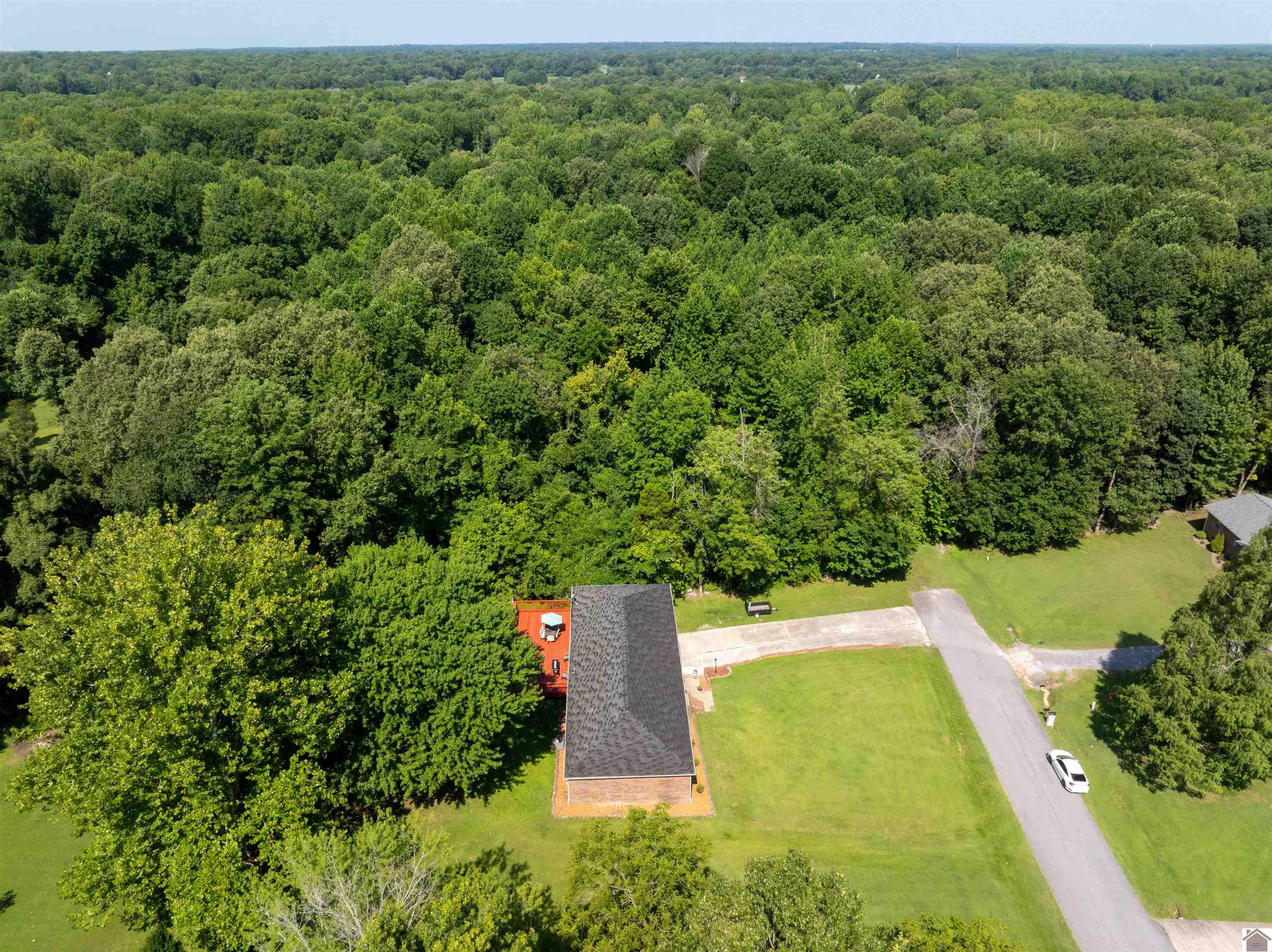 4520 Potter Court