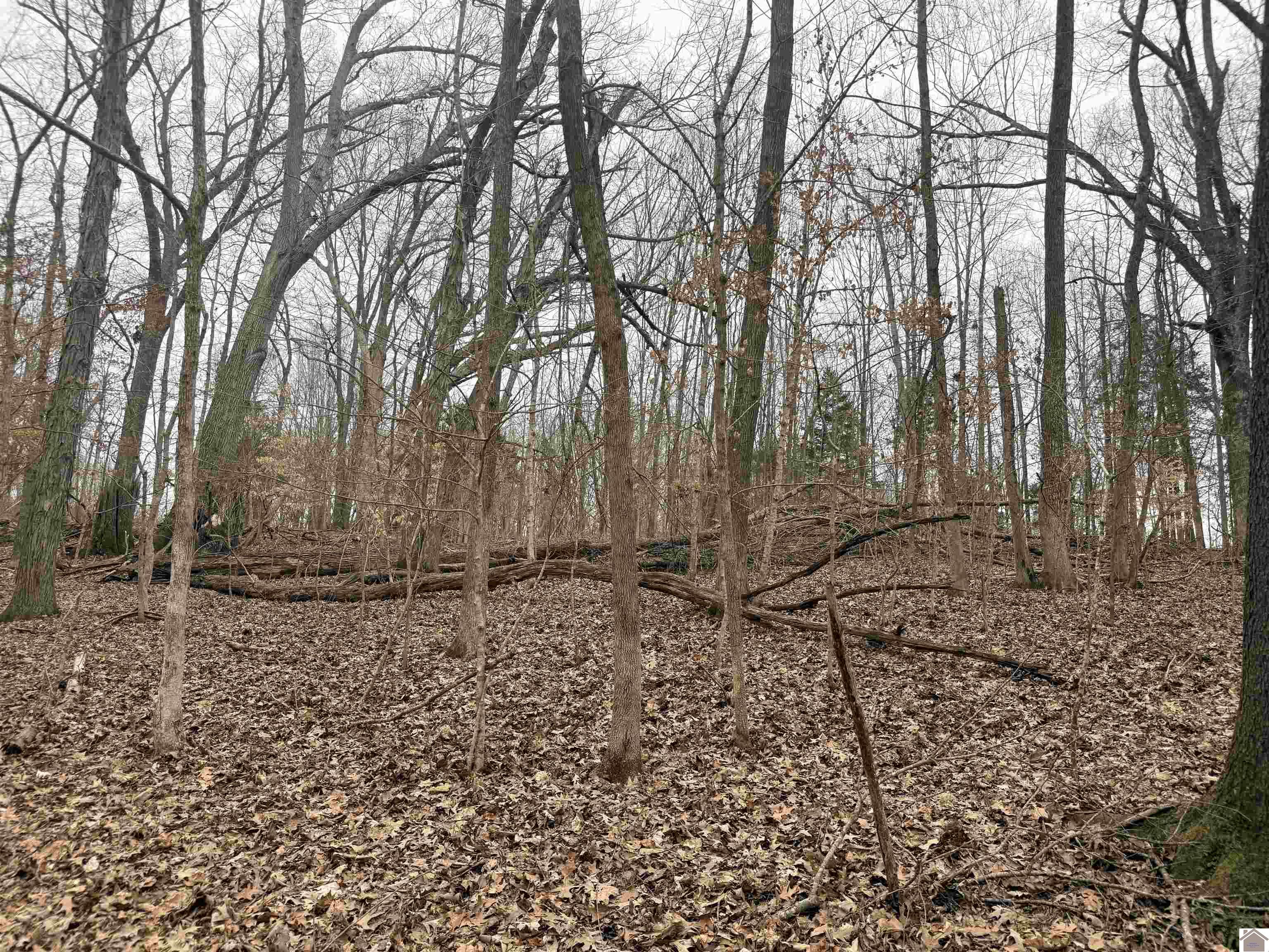 00 Morning Glory Drive Unit: Section B