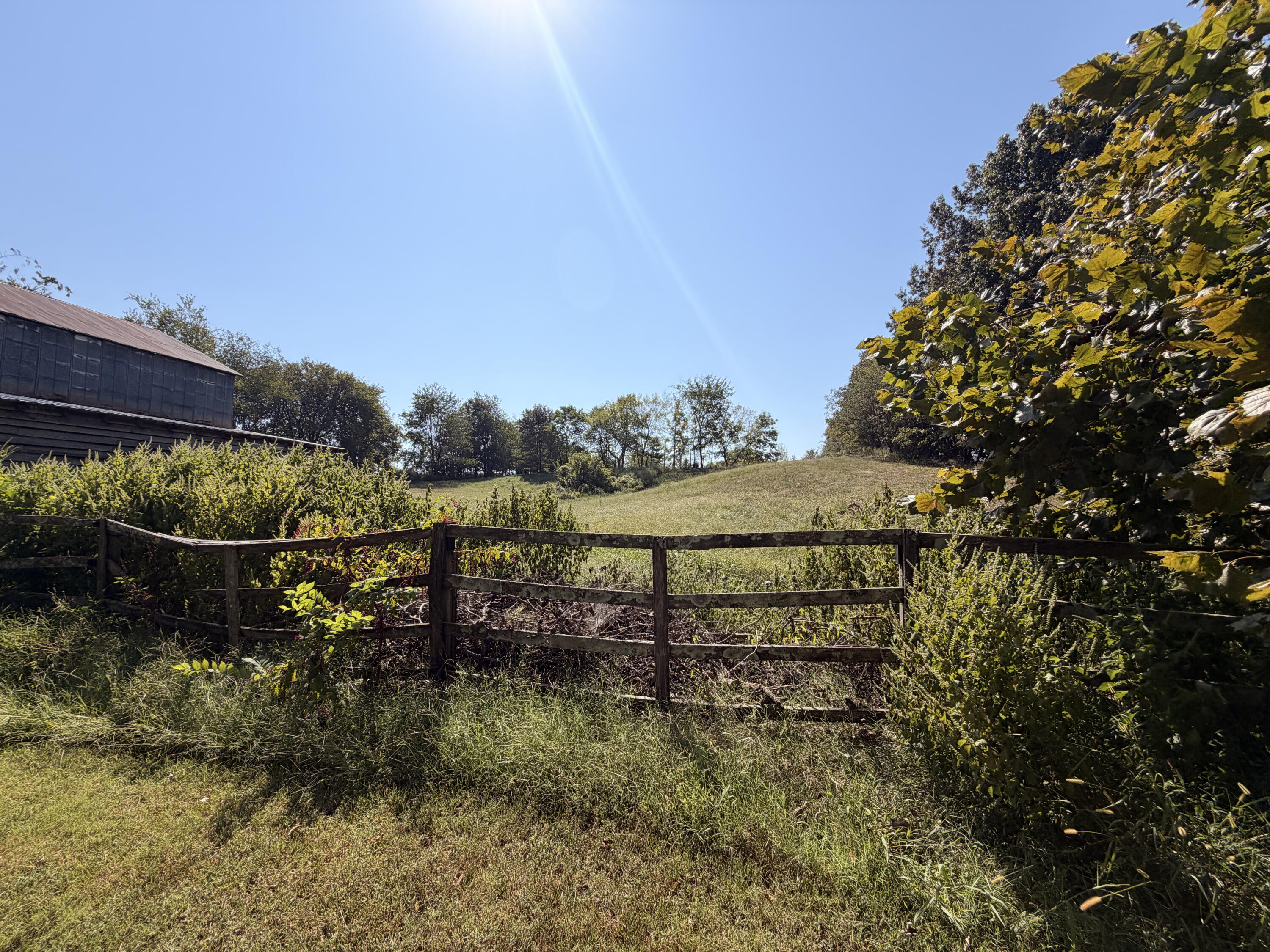 2004 Wingo Road