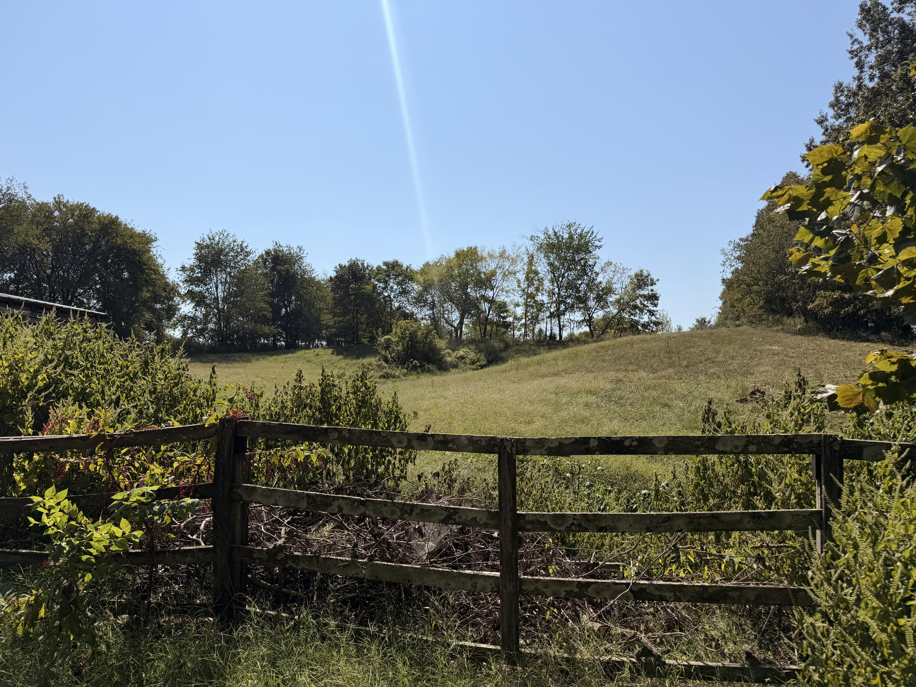 2004 Wingo Road