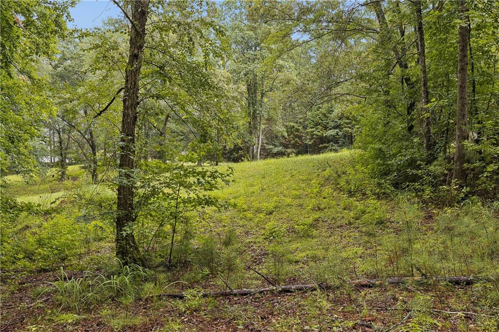 1736 Harmony Grove Church Road