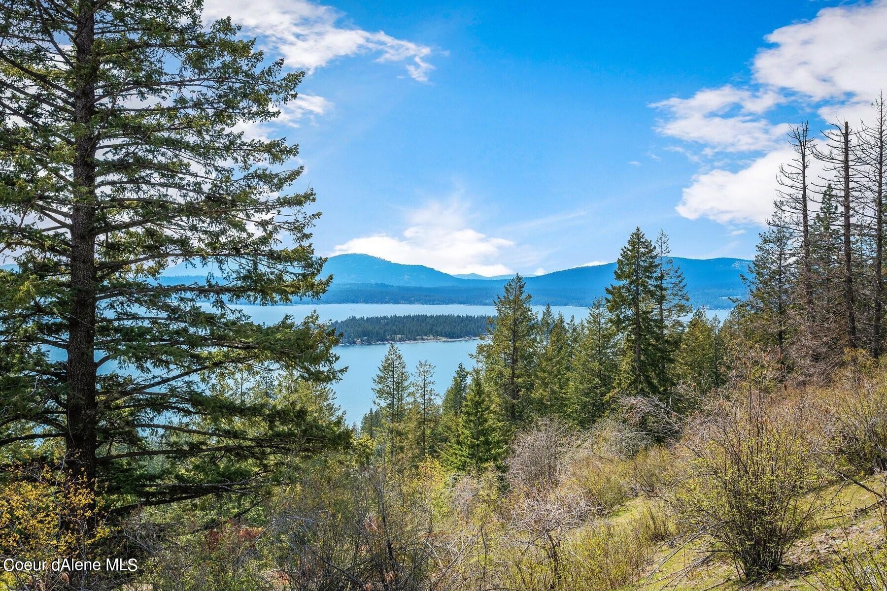 Wooded hillside overlooking a lake, forested islands, and distant mountain ridges.