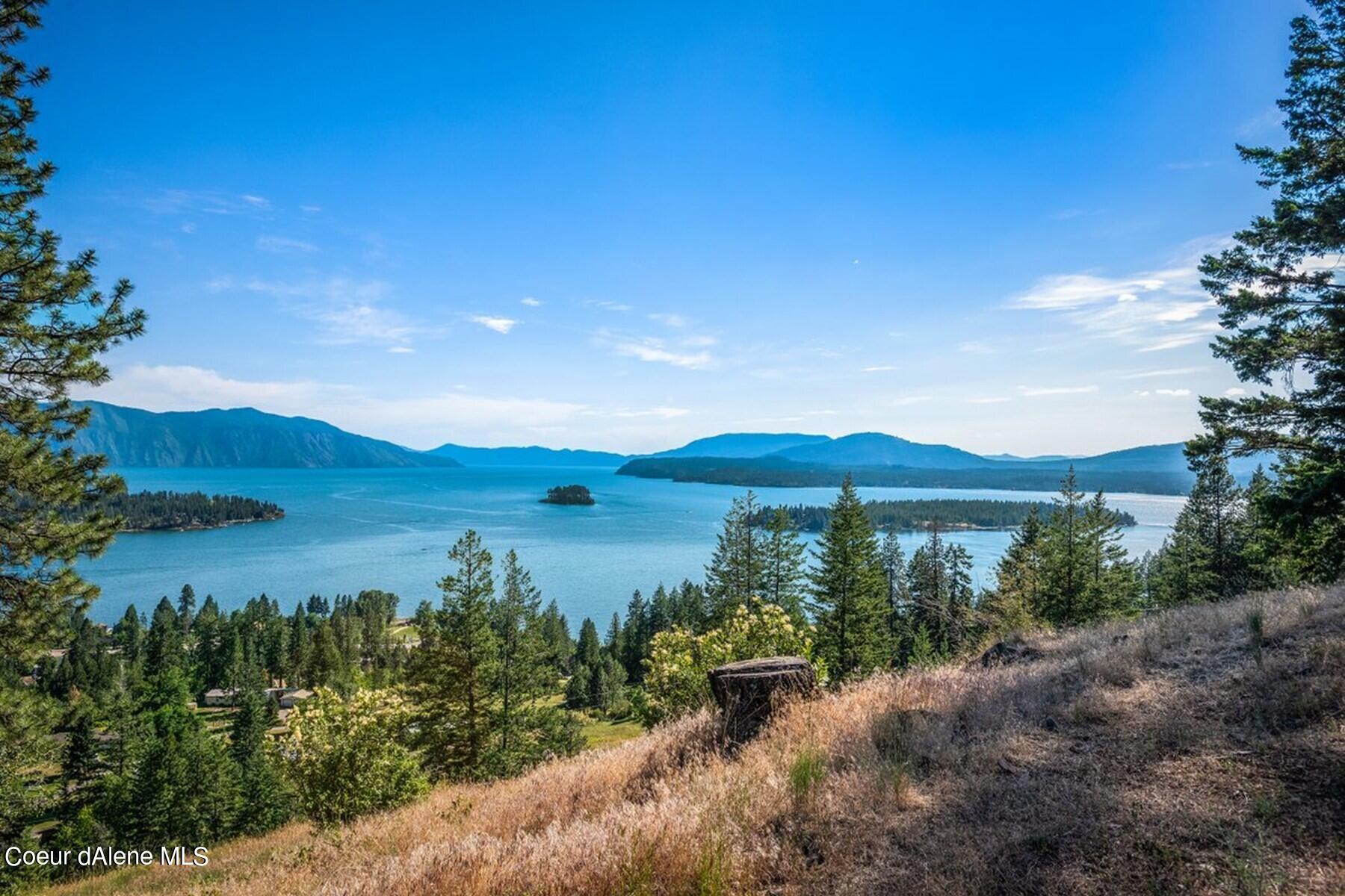 Panoramic lake and mountain view framed by evergreen trees from a sloping hillside.