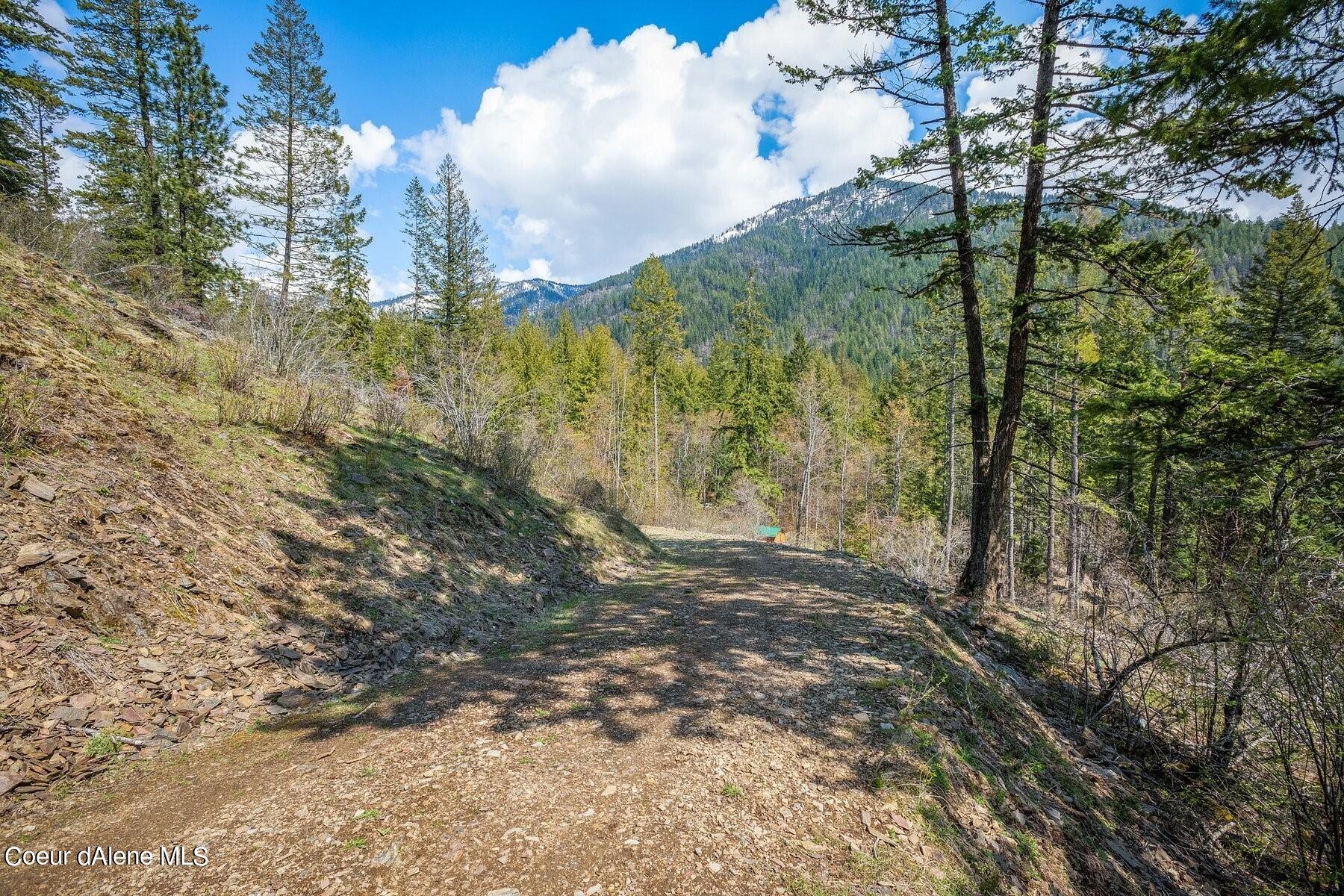 Wooded mountain property with a rocky access road and forested mountain views.