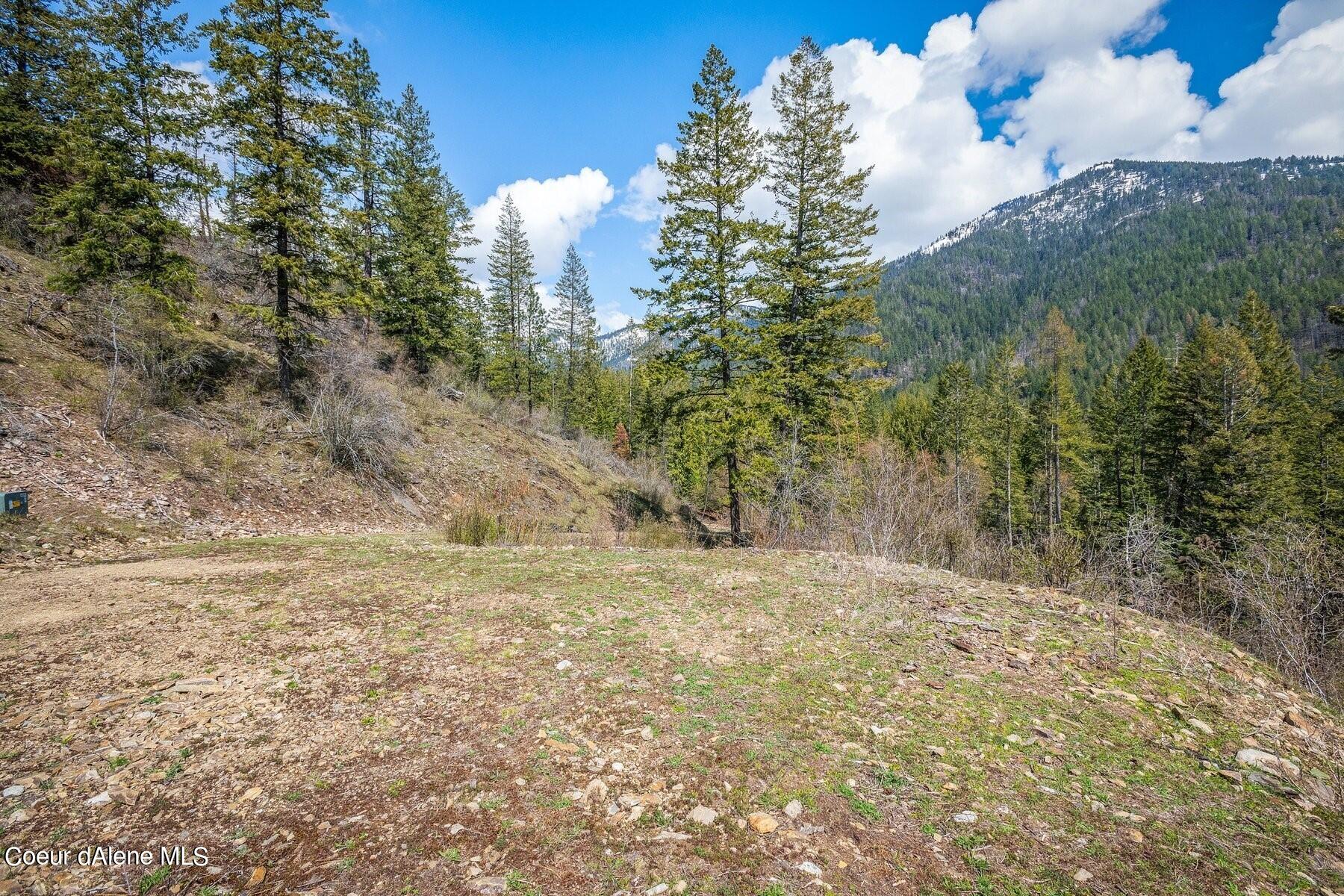 Rocky clearing on a wooded mountain parcel with pine trees and forested mountain views.