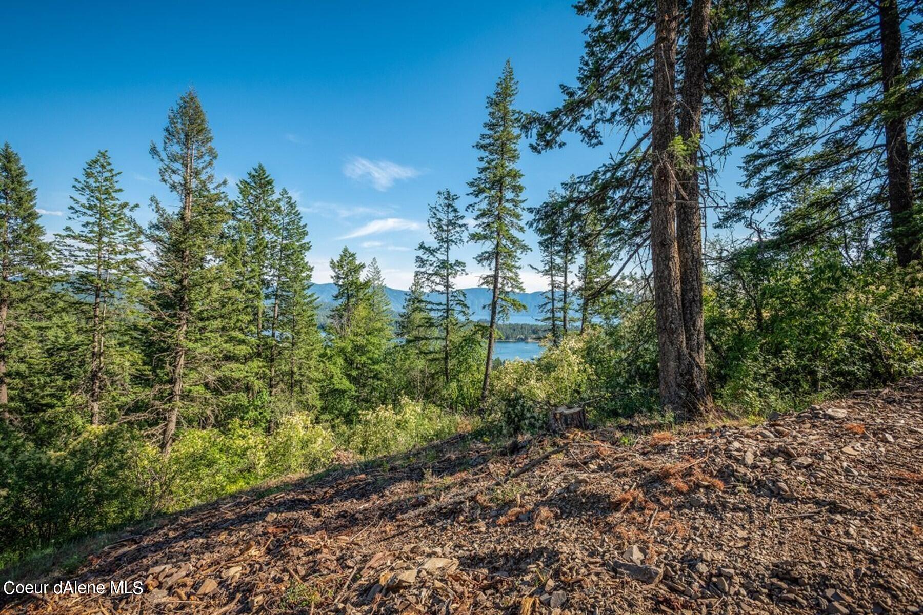 Wooded hillside lot overlooking a lake and distant mountains through evergreen trees.