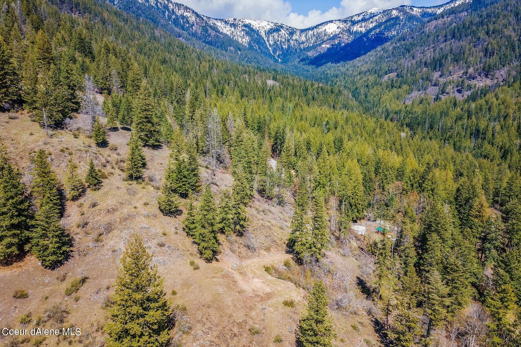Aerial view of a forested property clearing with snow-dusted mountains beyond.