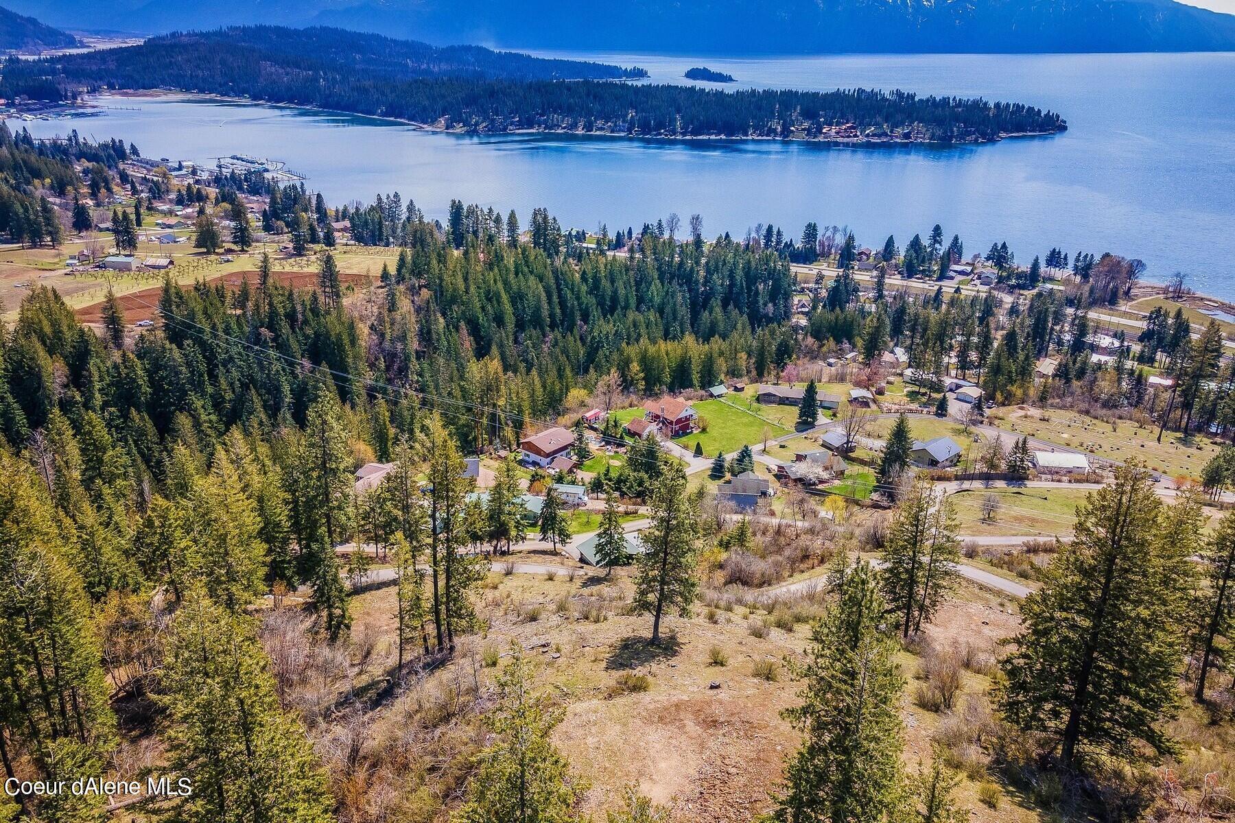 Aerial view of a sloping wooded lot above a lake, with homes, forested shoreline, and distant mountains.