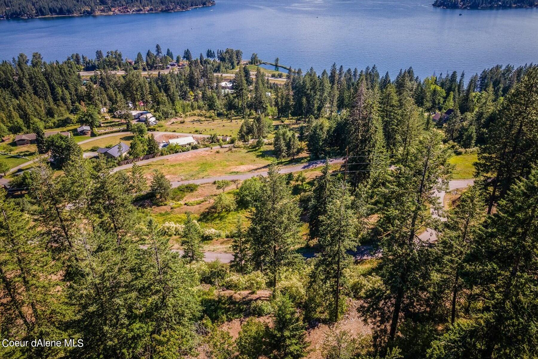 Aerial view of wooded vacant lots beside a lake, with roads and homes among the trees.