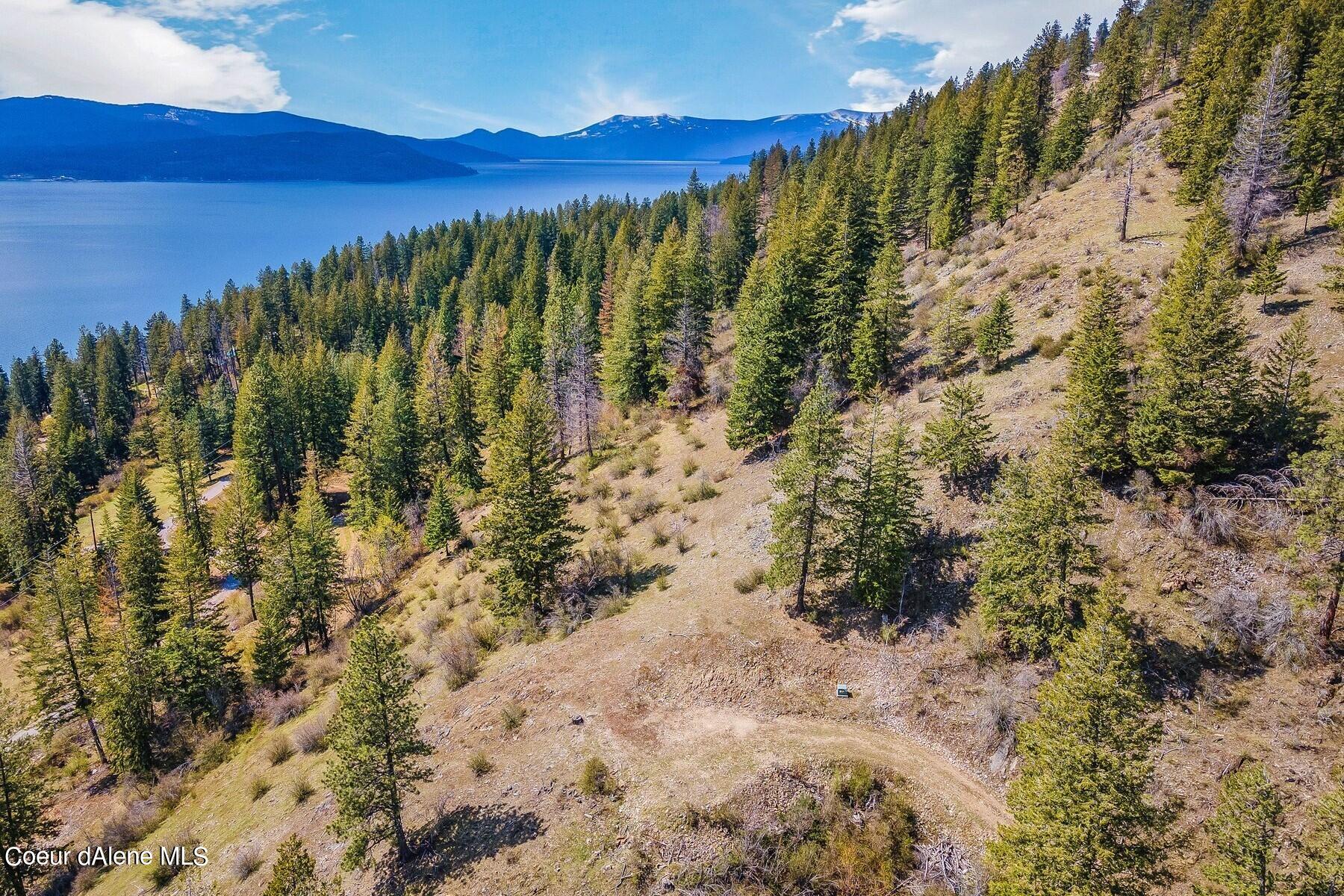 Wooded hillside property overlooking a lake and distant mountains, with a dirt track crossing the slope.
