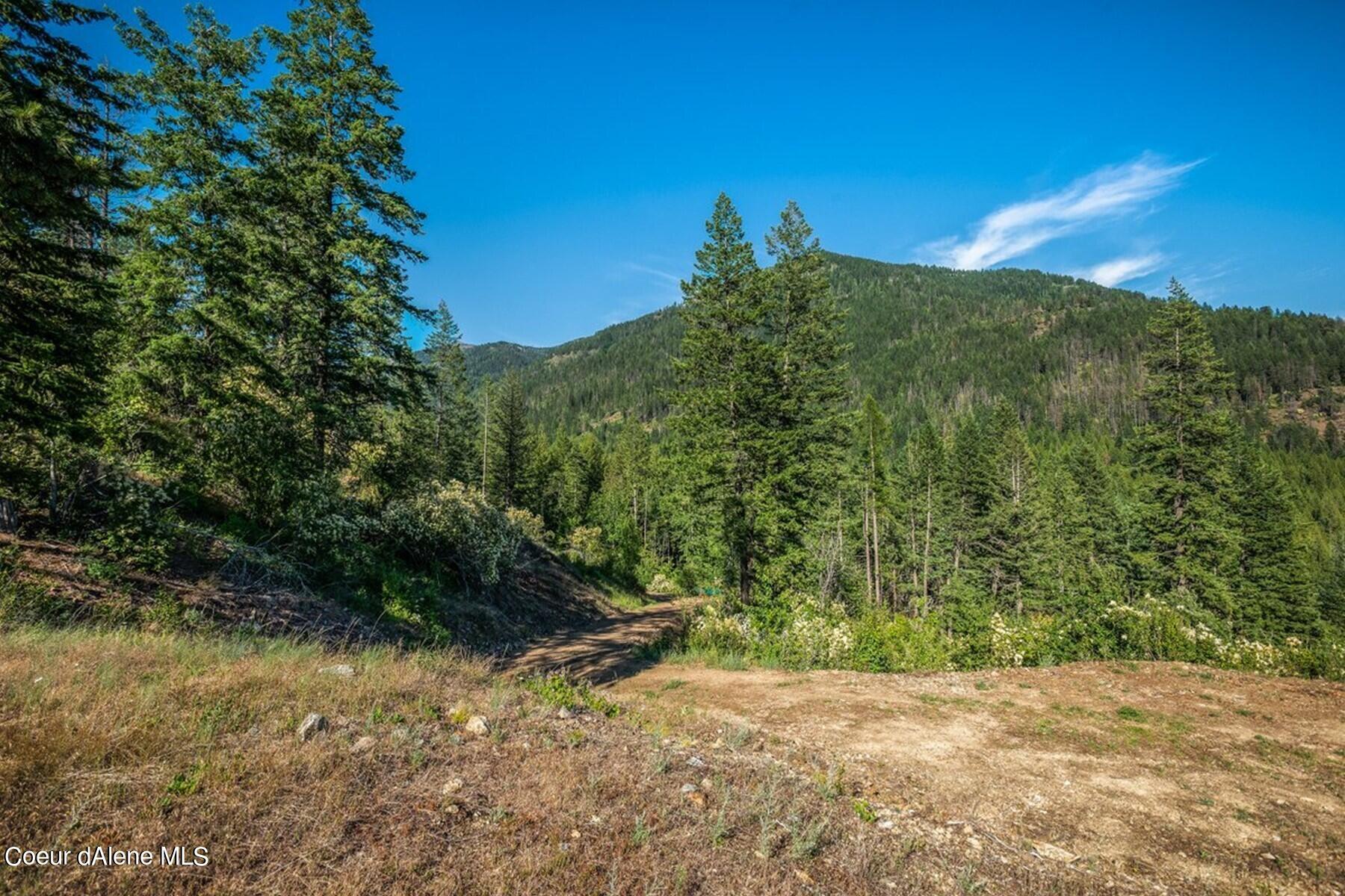 Wooded land with a dirt access track and evergreen-covered mountain ridge.