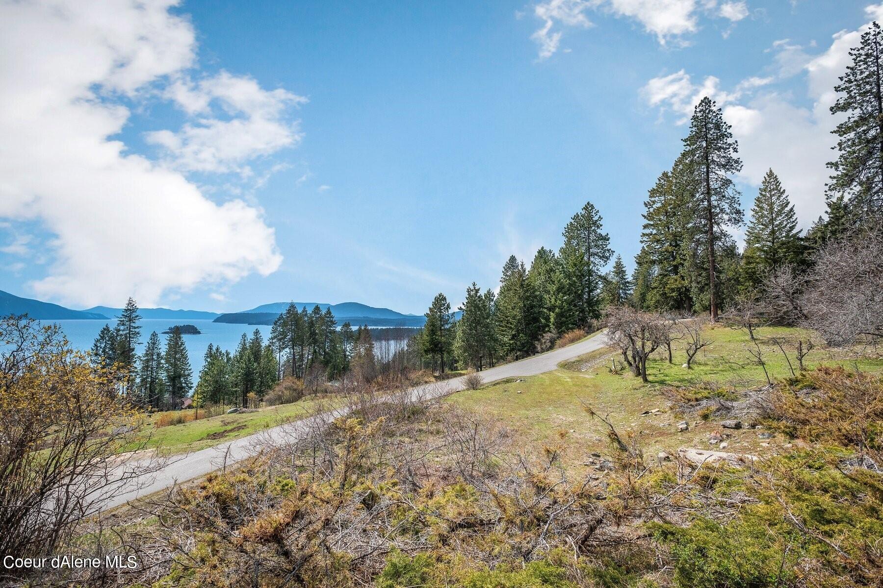 Vacant sloping lot with a paved road, pine trees, and lake and mountain views.