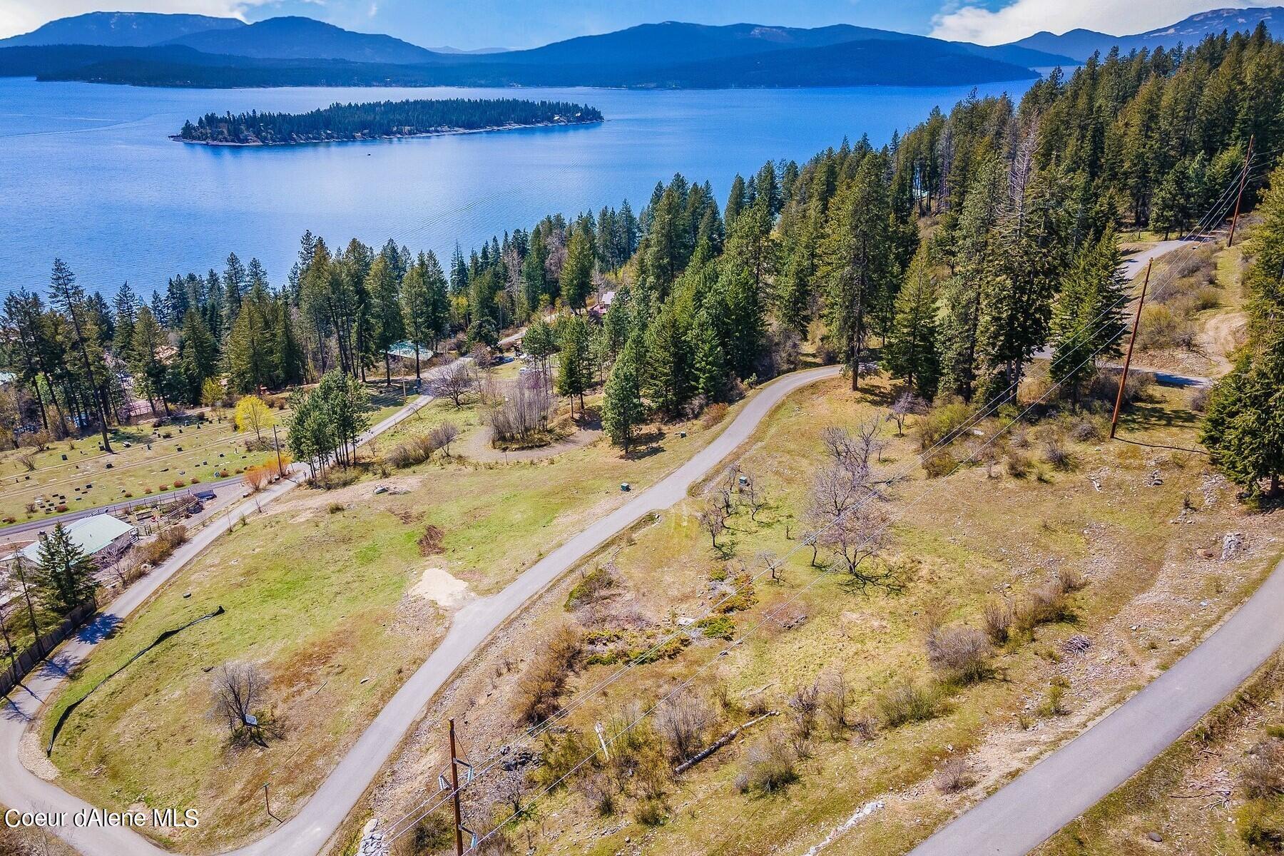 Aerial view of wooded lakeside land, winding roads, a forested island, and mountains across the water.