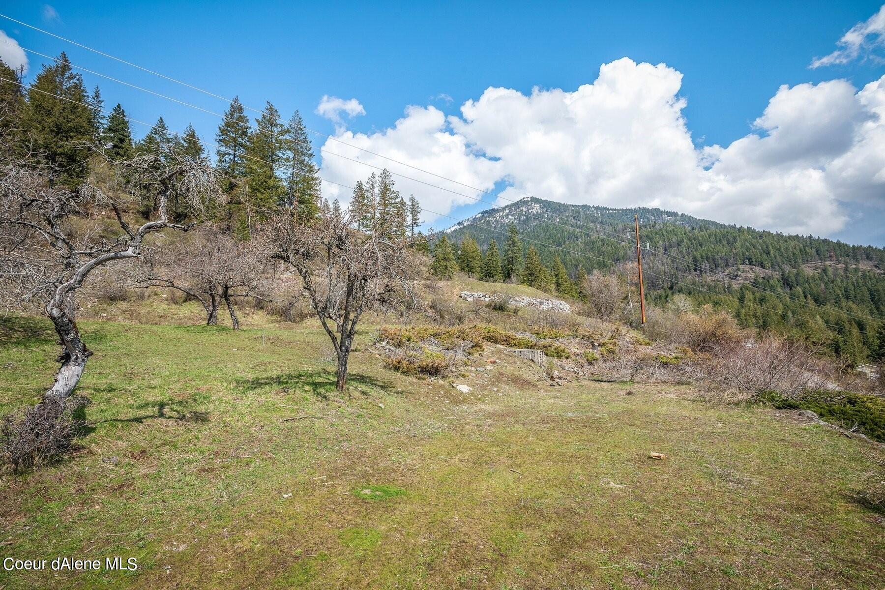 Open grassy lot with leafless trees, utility lines, and a forested mountain in the background.