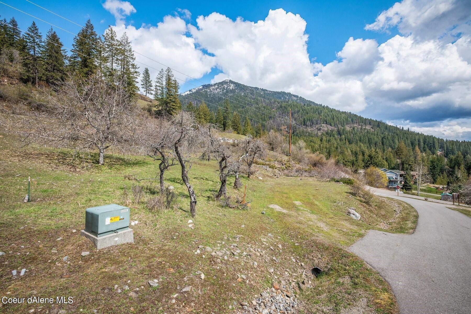 Sloping vacant lot with scattered trees, a roadside utility box, and a forested mountain beyond.