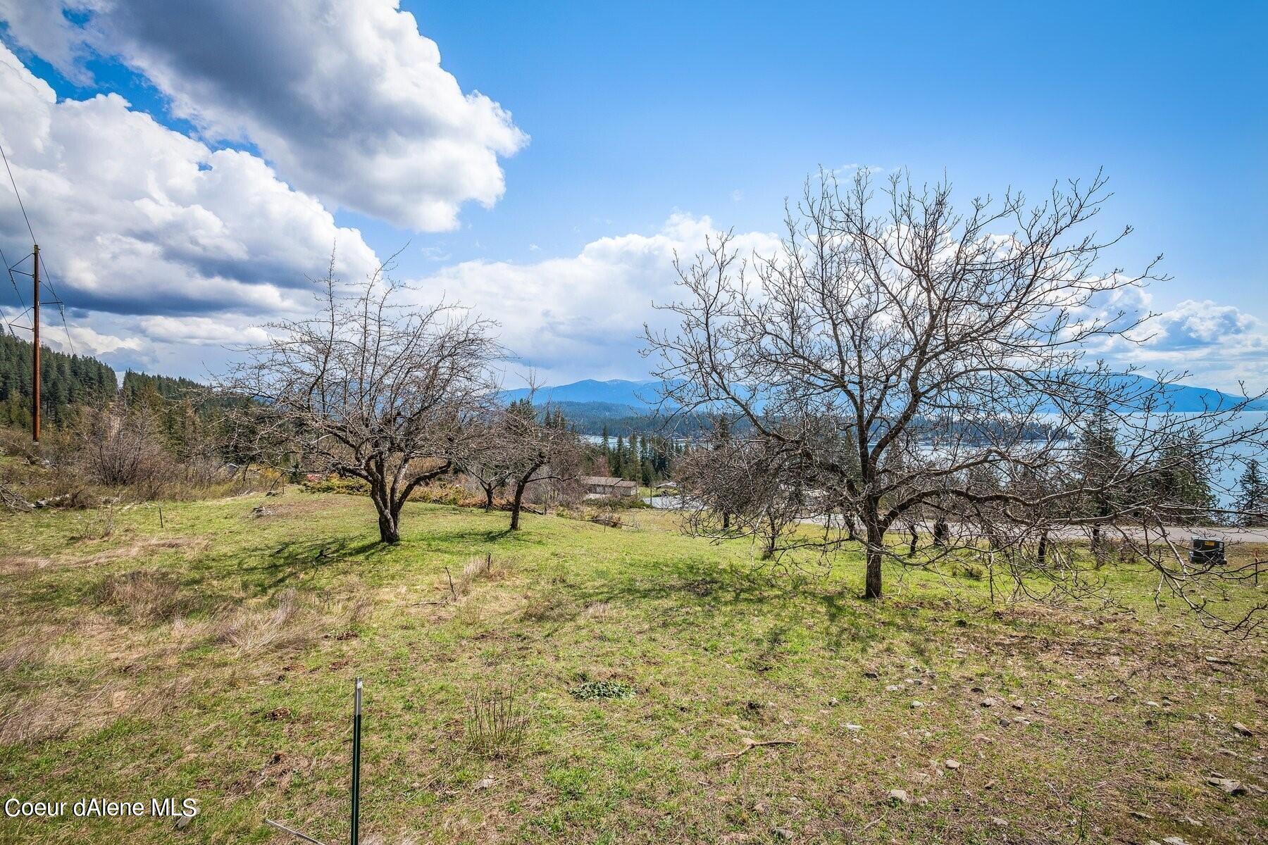 Vacant sloping lot with water and mountain views, leafless trees, and utility poles.