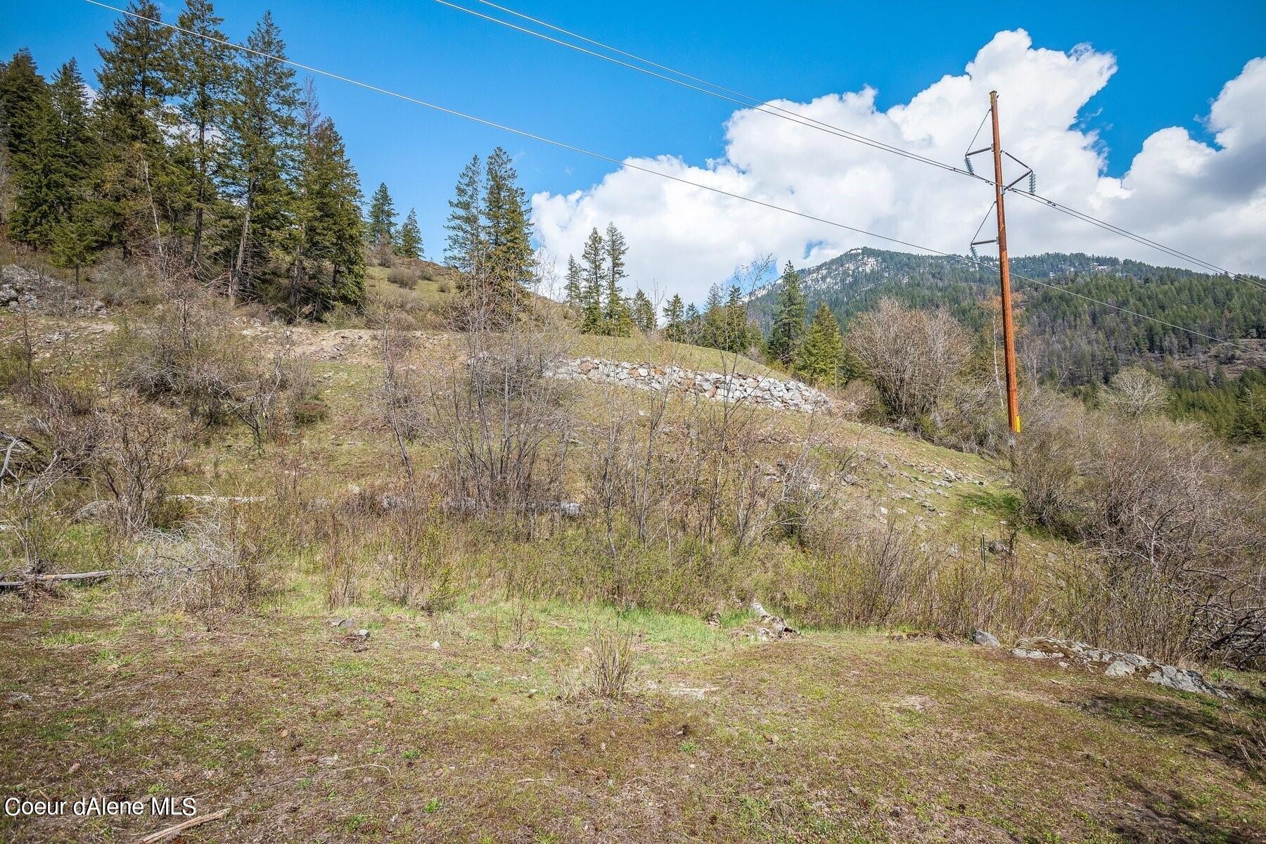 Hillside lot with scattered pines, a stone retaining wall, utility lines, and a forested mountain view.
