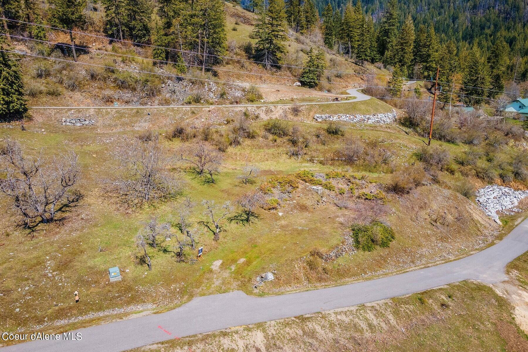Aerial view of a sloping vacant lot beside a paved road, with utility lines and evergreen forest beyond.