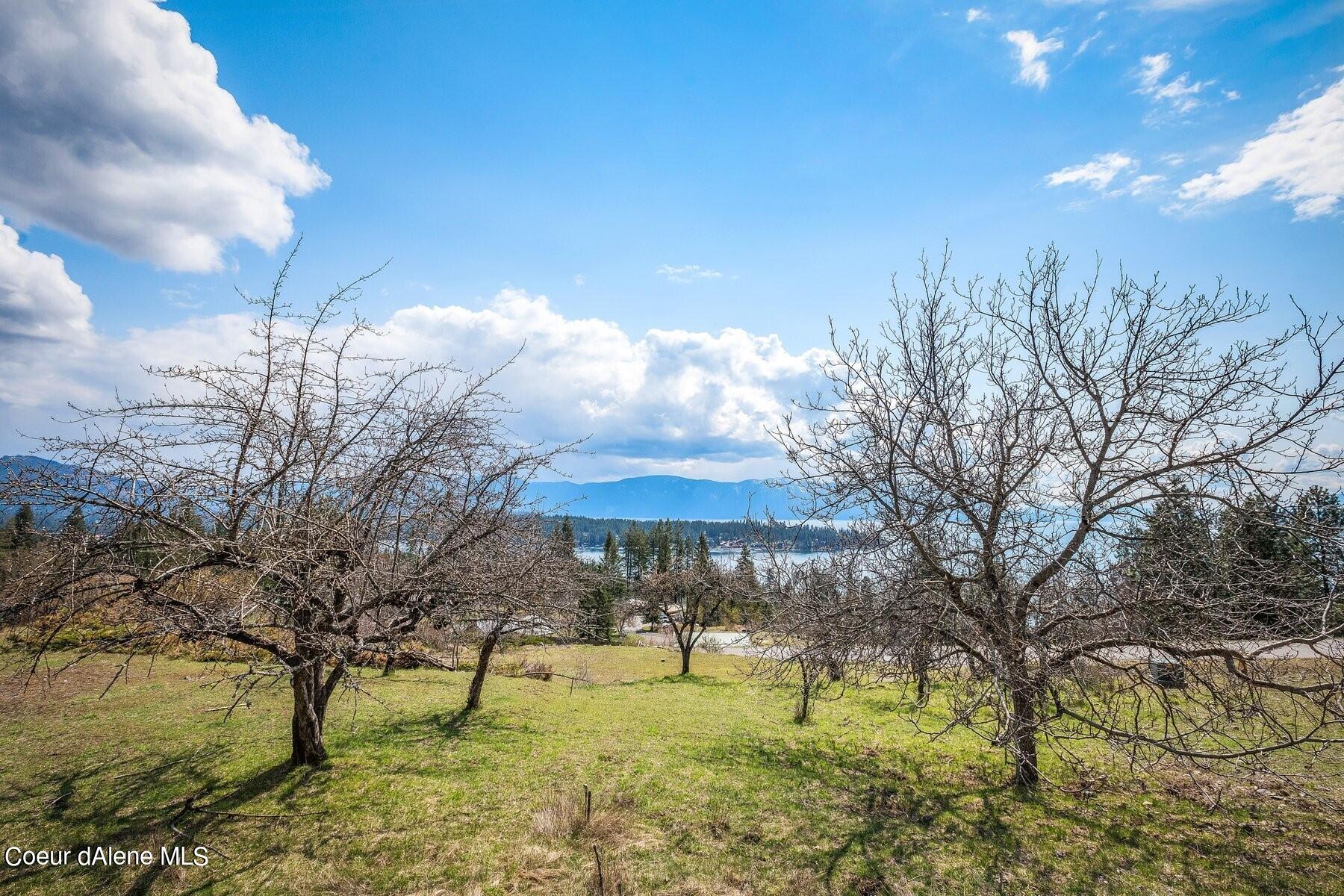 Open grassy lot with leafless trees overlooking a lake and distant mountains.