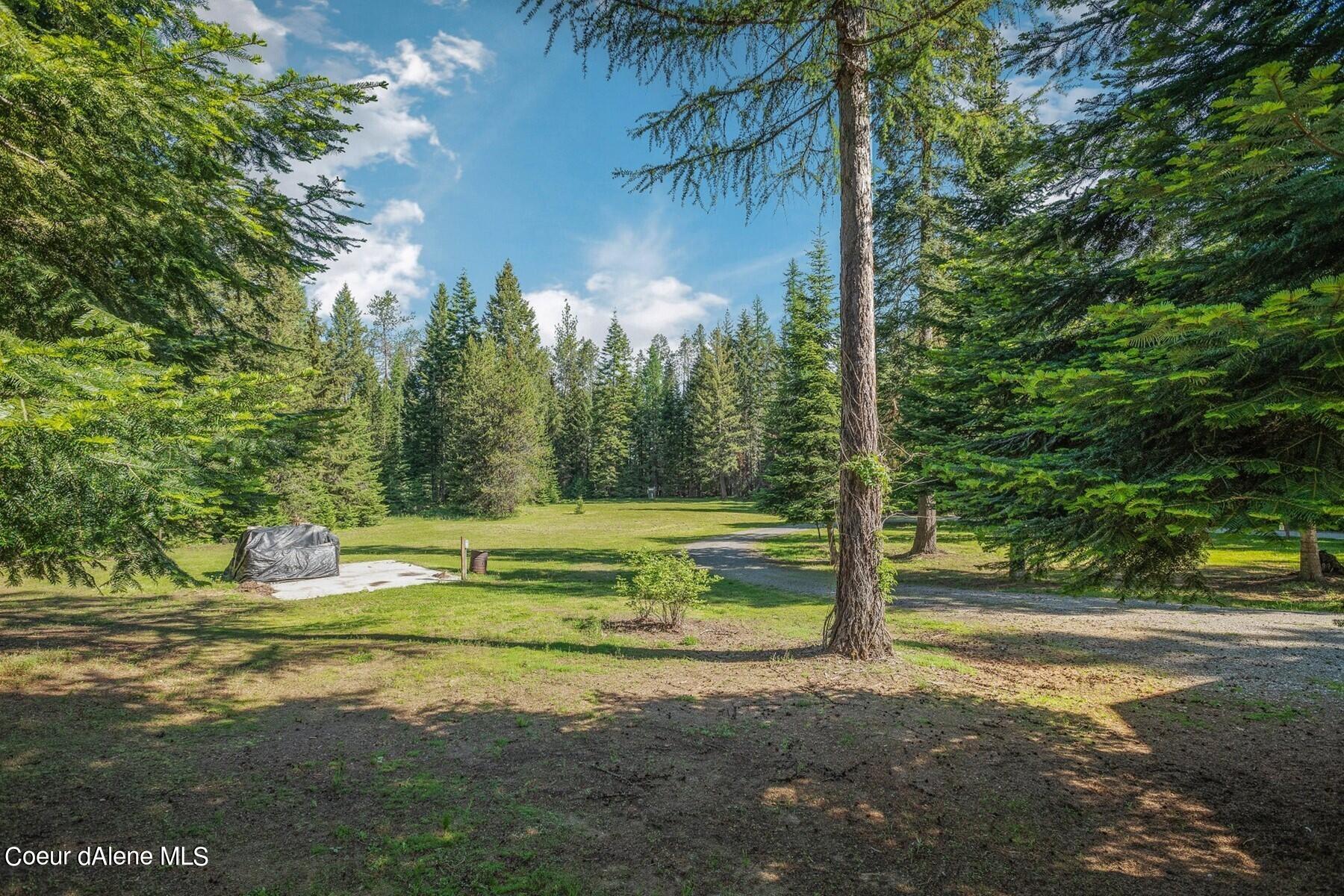 Wooded property clearing with a curving gravel drive and tarp-covered object on a concrete pad.