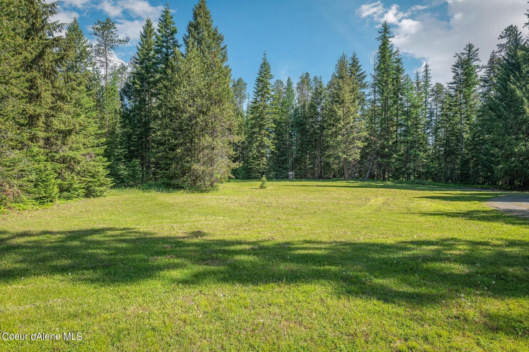 Grassy property clearing bordered by dense evergreen trees, with a gravel drive along the right edge.