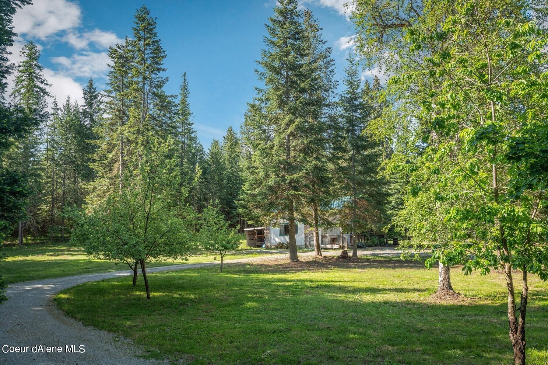 House nestled among mature trees, with a curved gravel driveway and grassy yard.