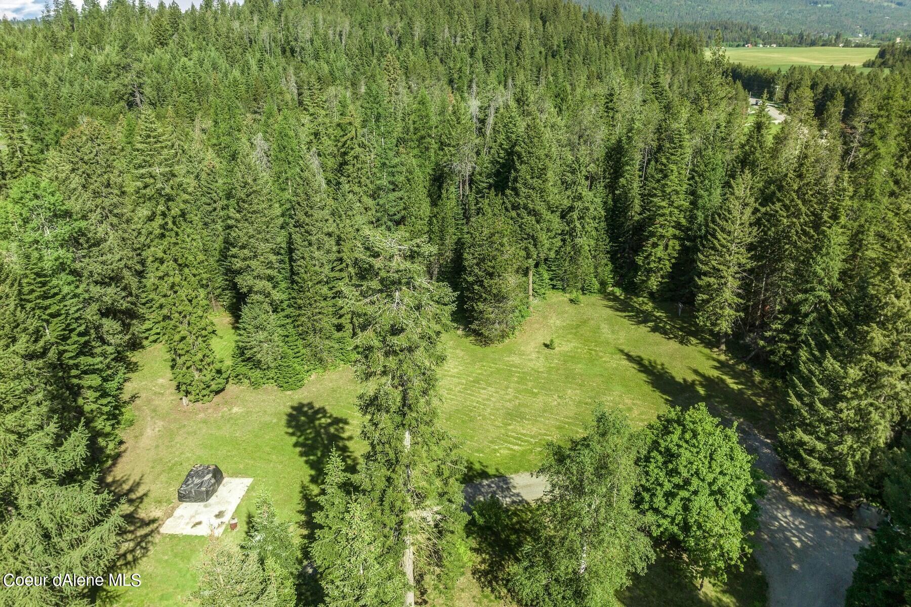 Aerial view of a forested property with a grassy clearing, paved driveway, and concrete pad.