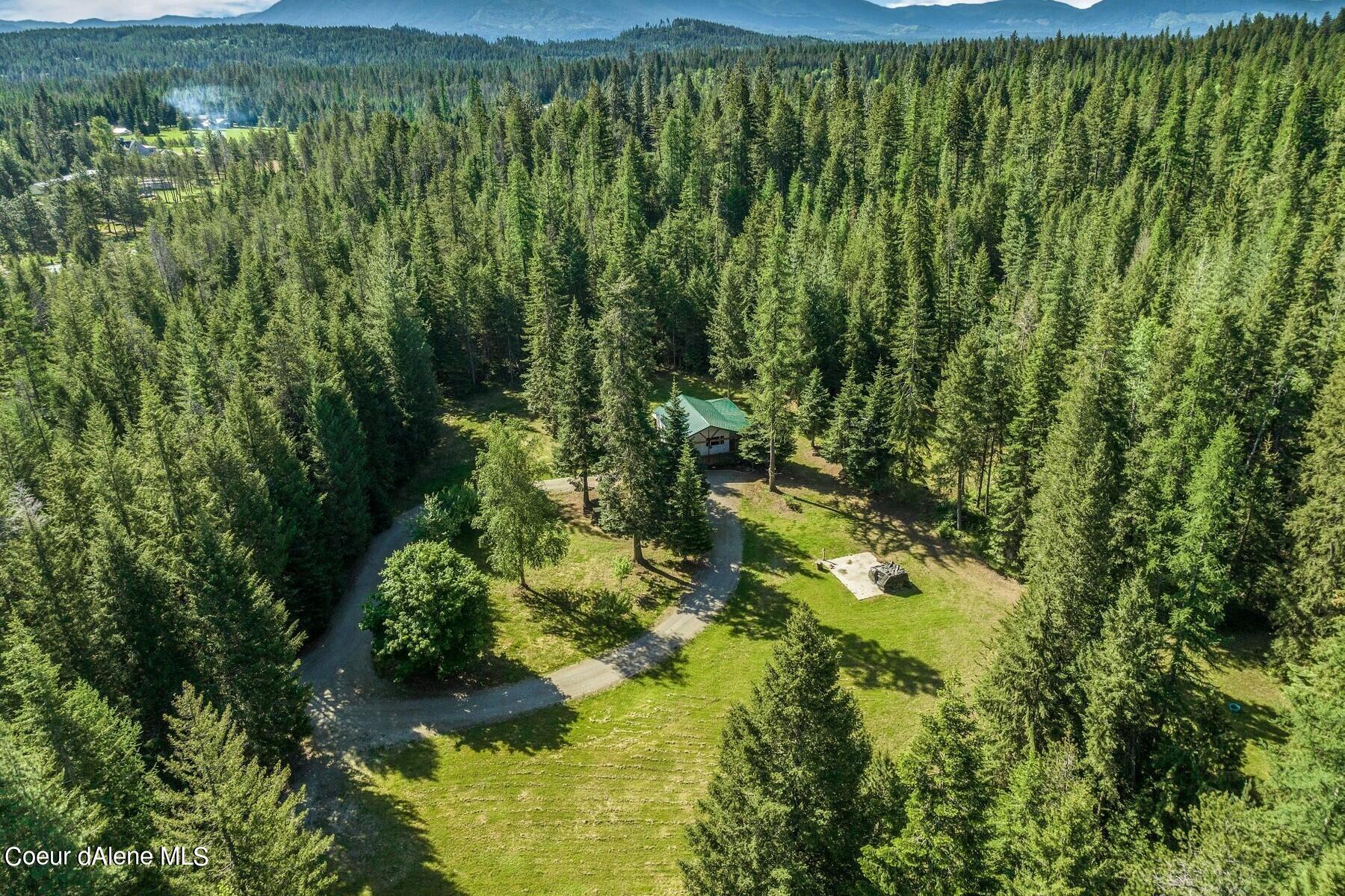 Aerial view of a green-roofed home in a forest clearing, with a gravel drive and distant mountains.