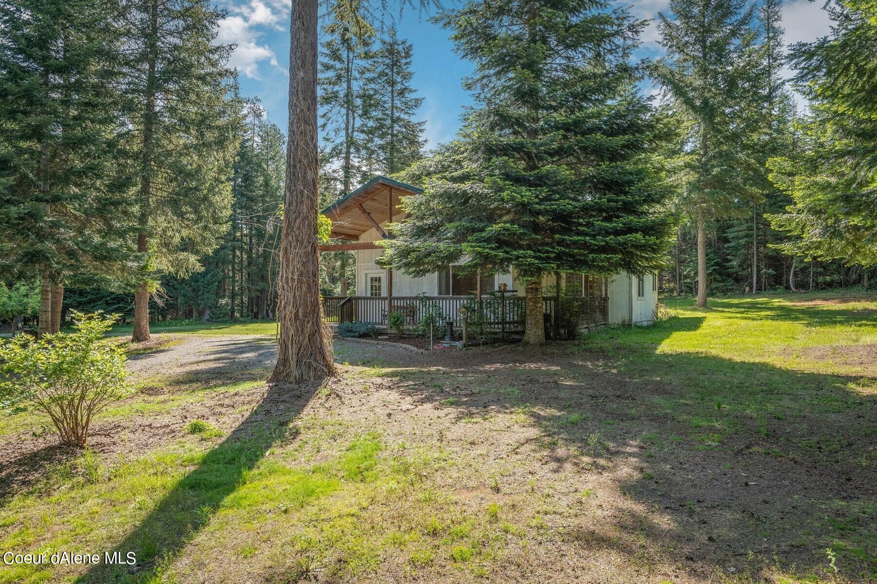 House with a covered porch nestled among tall evergreens in a sunny, wooded yard.